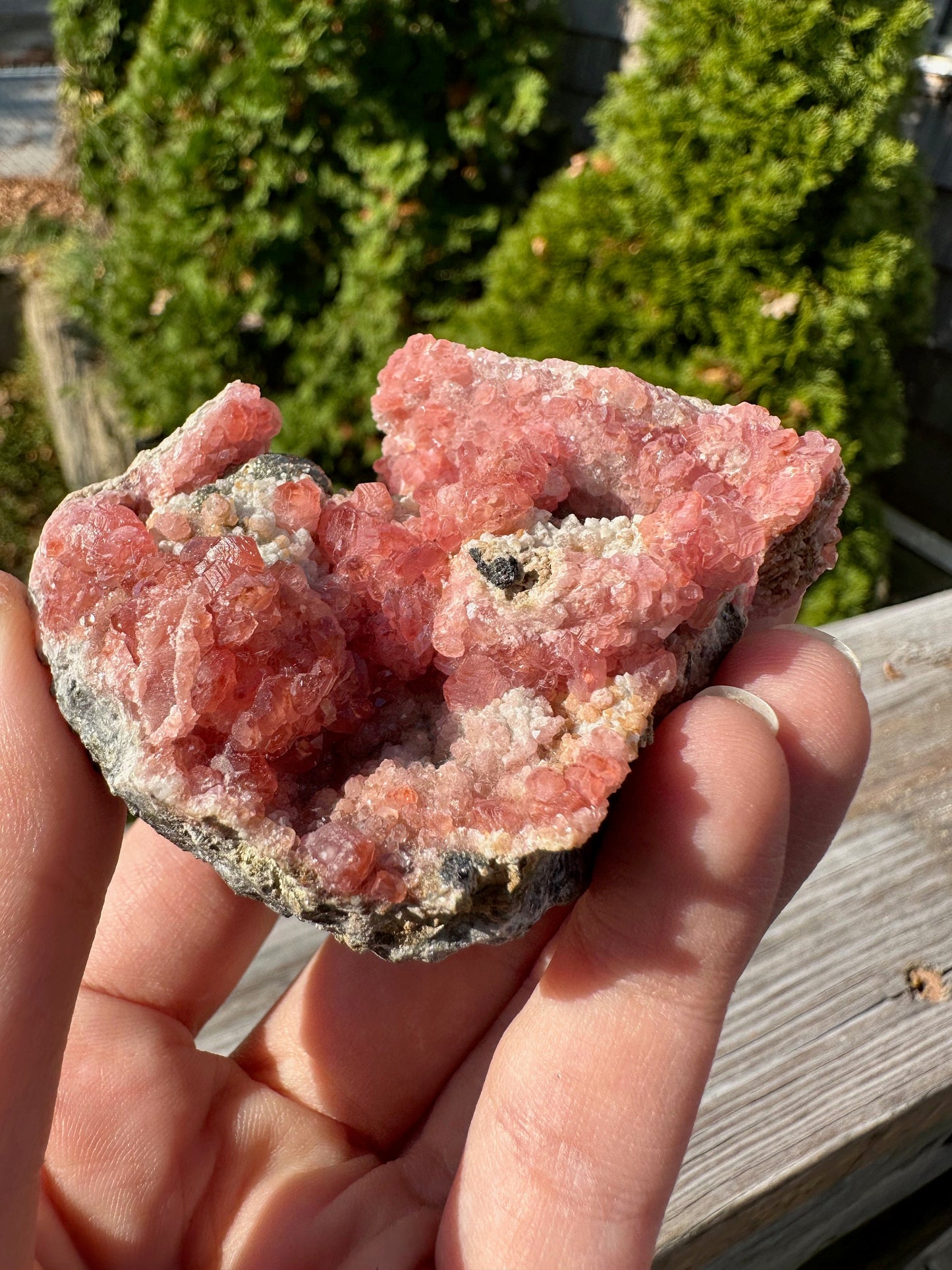 Rhodochrosite Crystals on Matrix from Uchucchacua Mine Peru