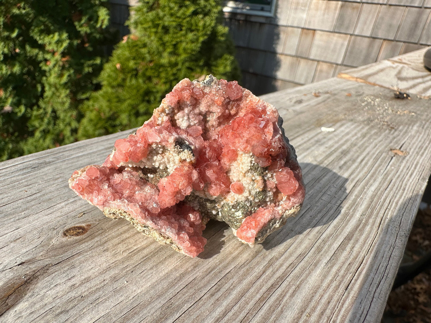 Rhodochrosite Crystals on Matrix from Uchucchacua Mine Peru
