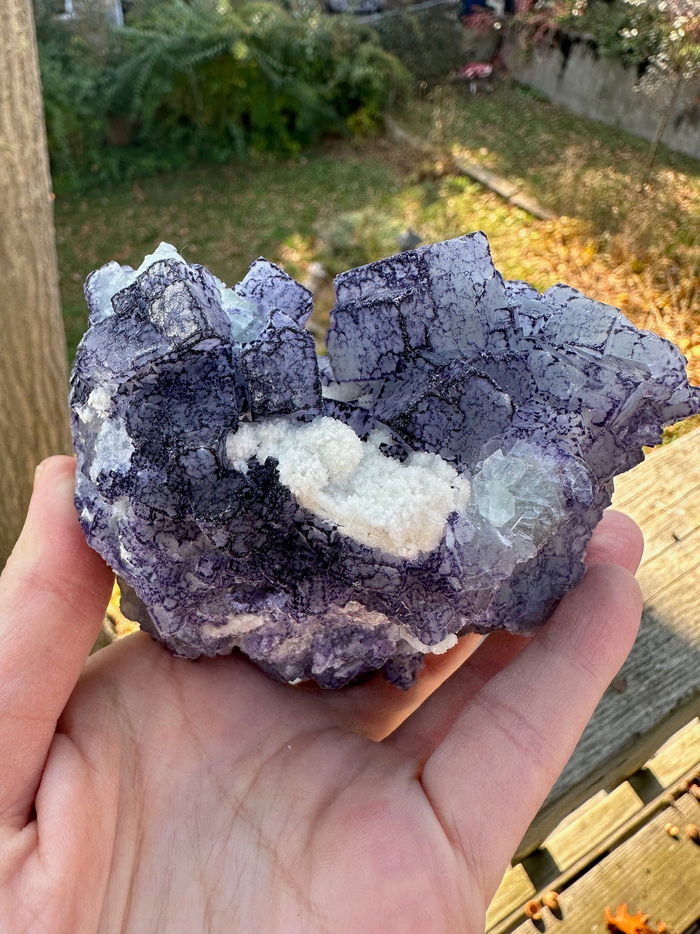 Large Cabinet Green and Purple Edge Fluorite from China