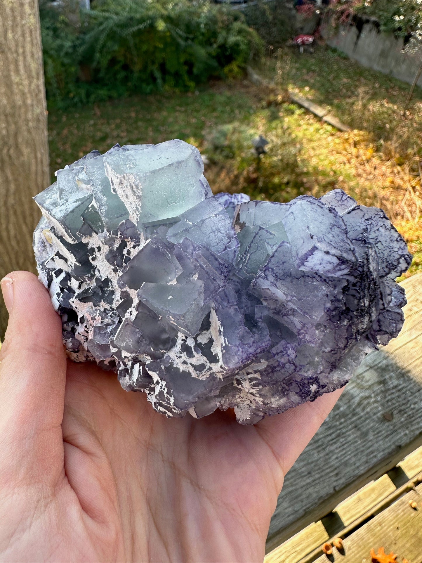 Large Cabinet Green and Purple Edge Fluorite from China