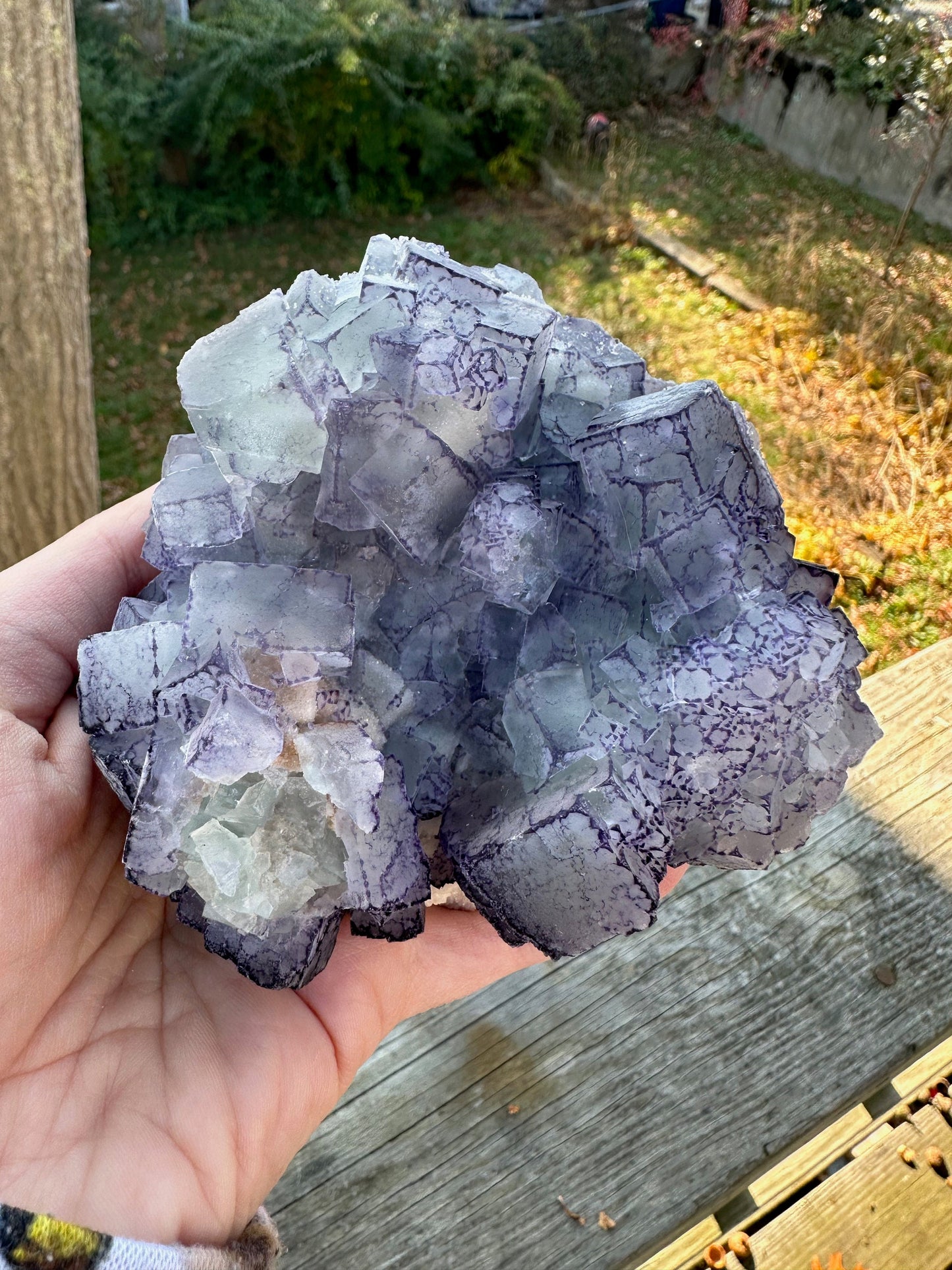 Large Cabinet Green and Purple Edge Fluorite from China