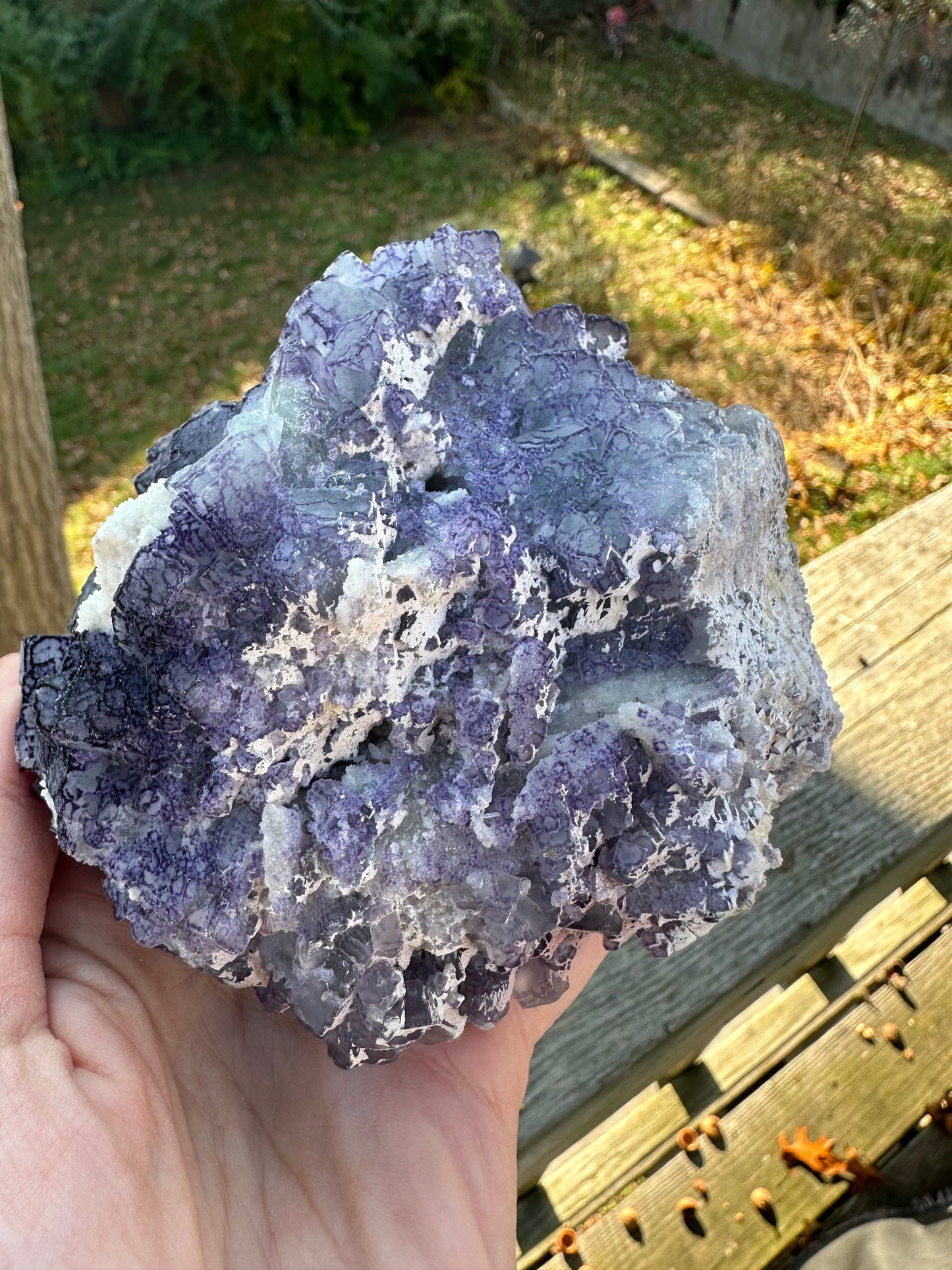 Large Cabinet Green and Purple Edge Fluorite from China