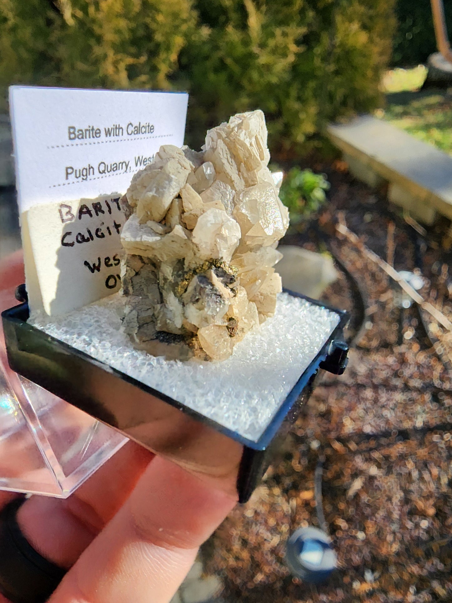 Old Collection Barite with Calcite from Pugh Quarry, Ohio