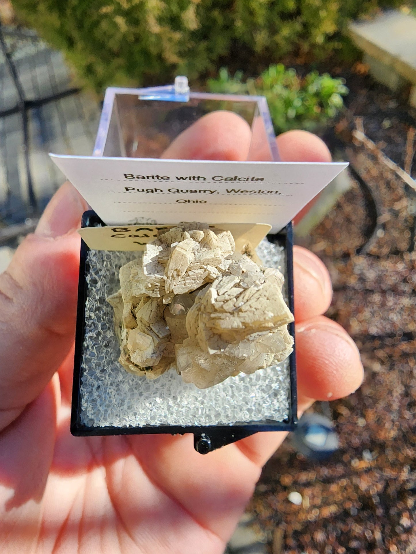 Old Collection Barite with Calcite from Pugh Quarry, Ohio