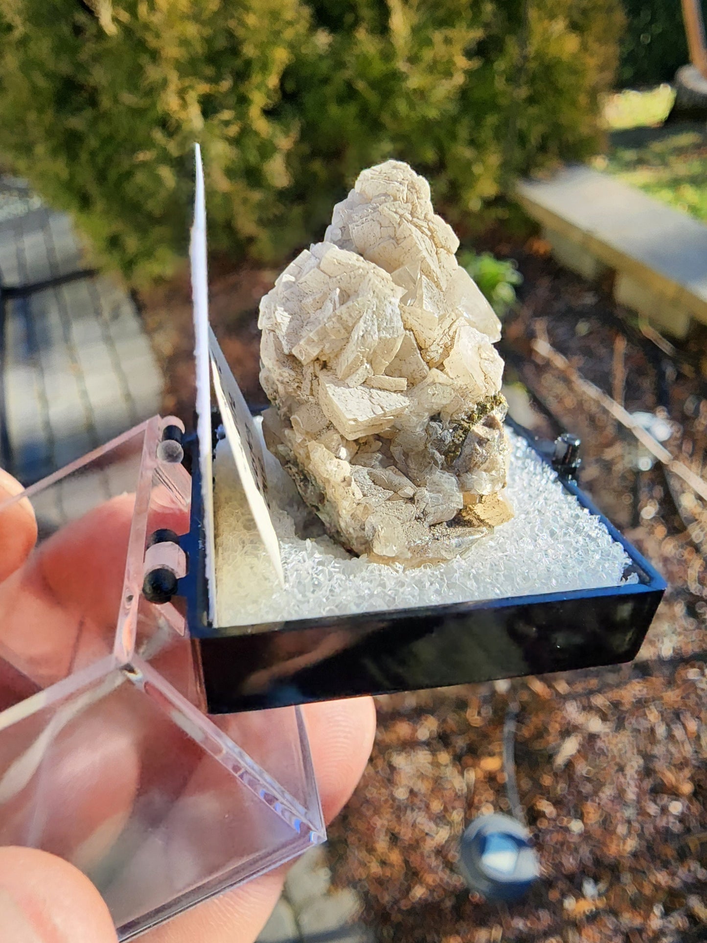 Old Collection Barite with Calcite from Pugh Quarry, Ohio