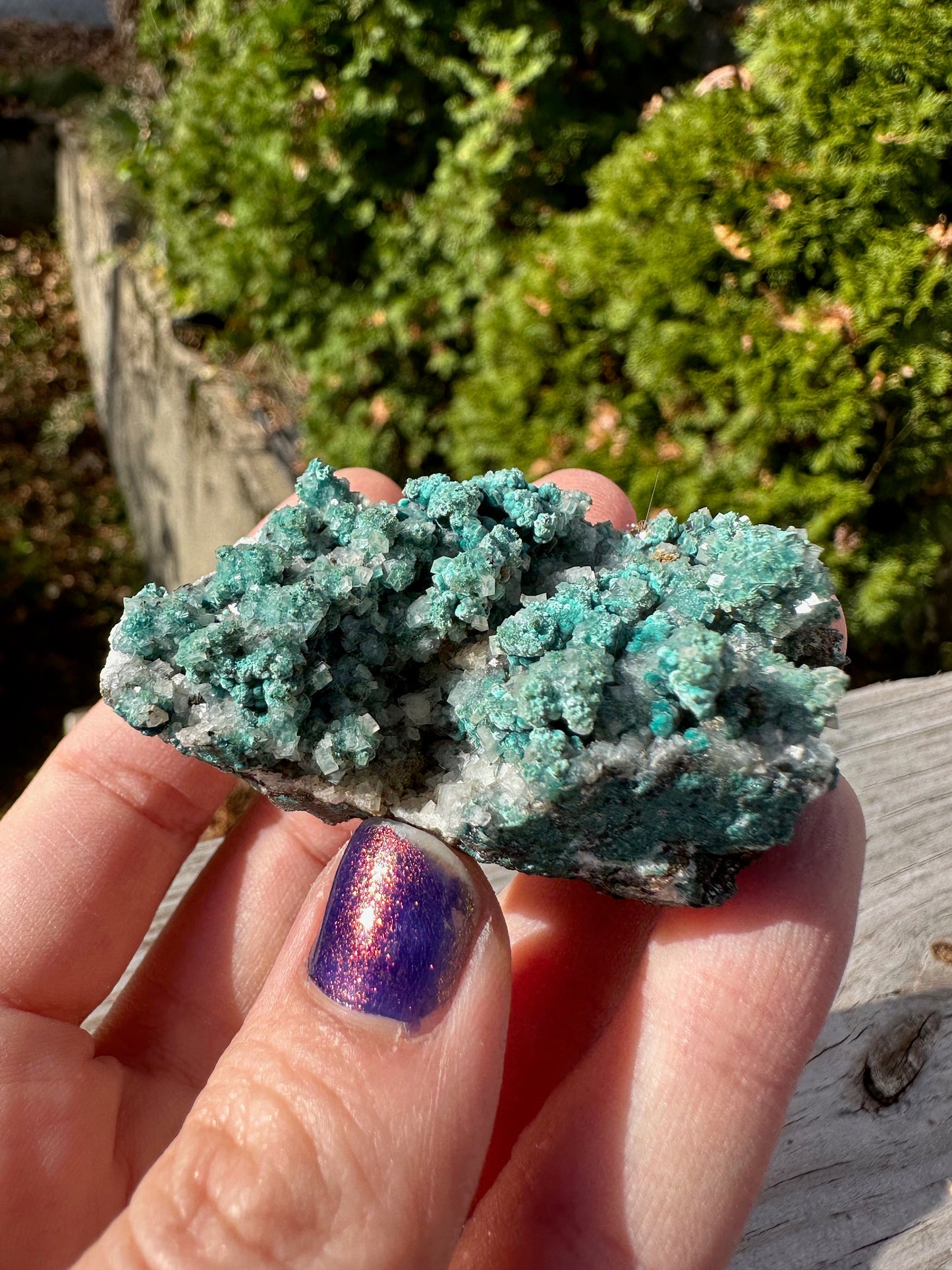 Rosasite with Calcite from Ojuela Mine Mexico