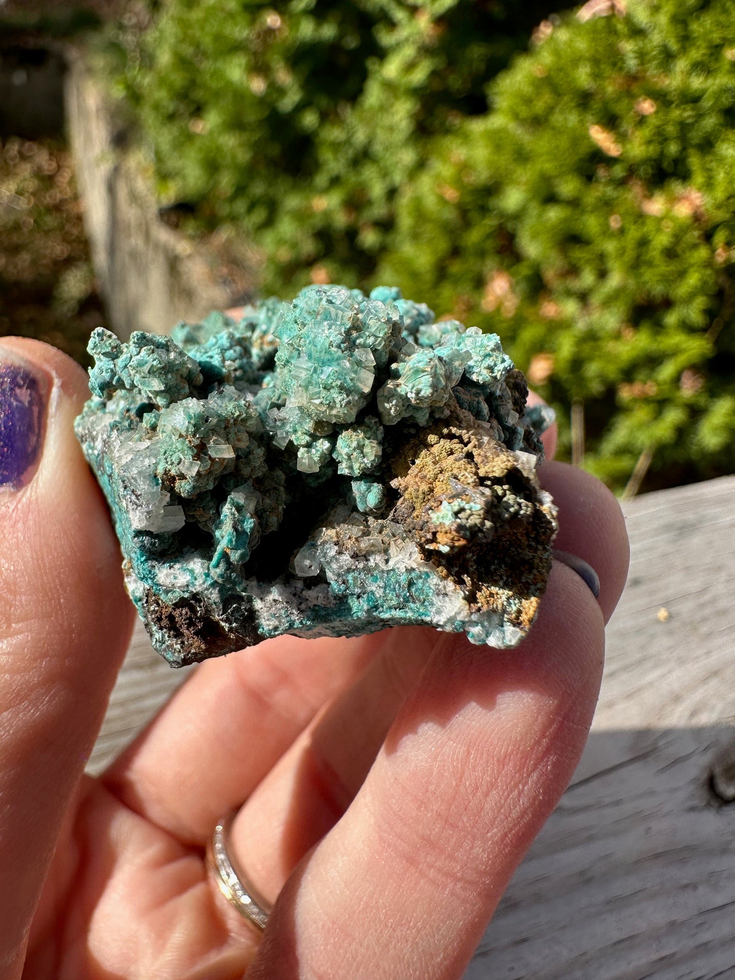 Rosasite with Calcite from Ojuela Mine Mexico