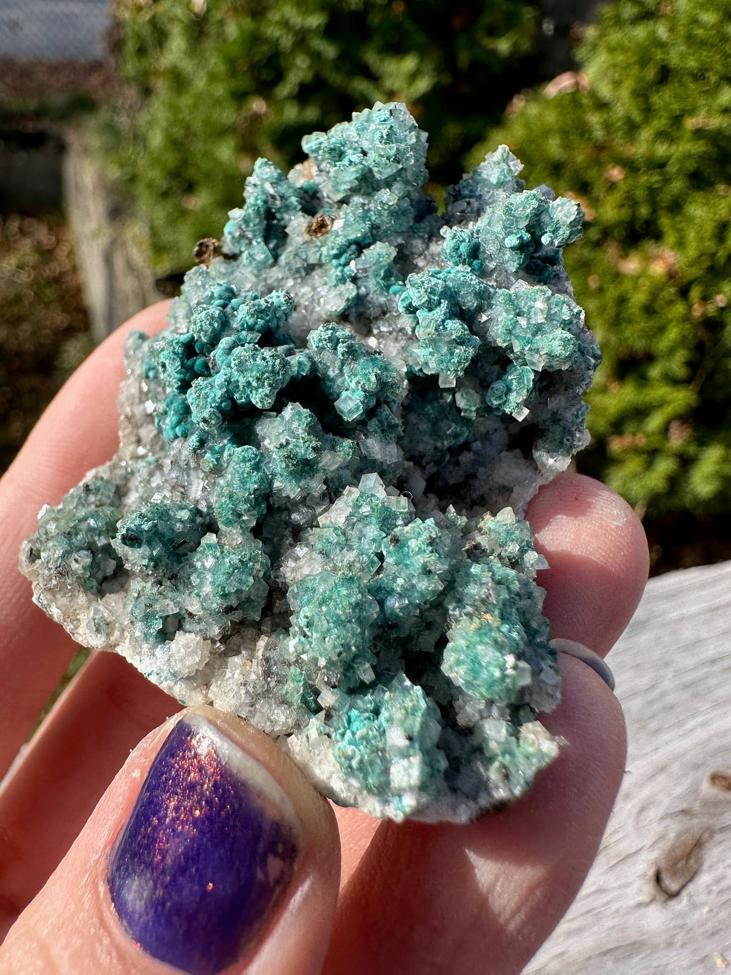 Rosasite with Calcite from Ojuela Mine Mexico