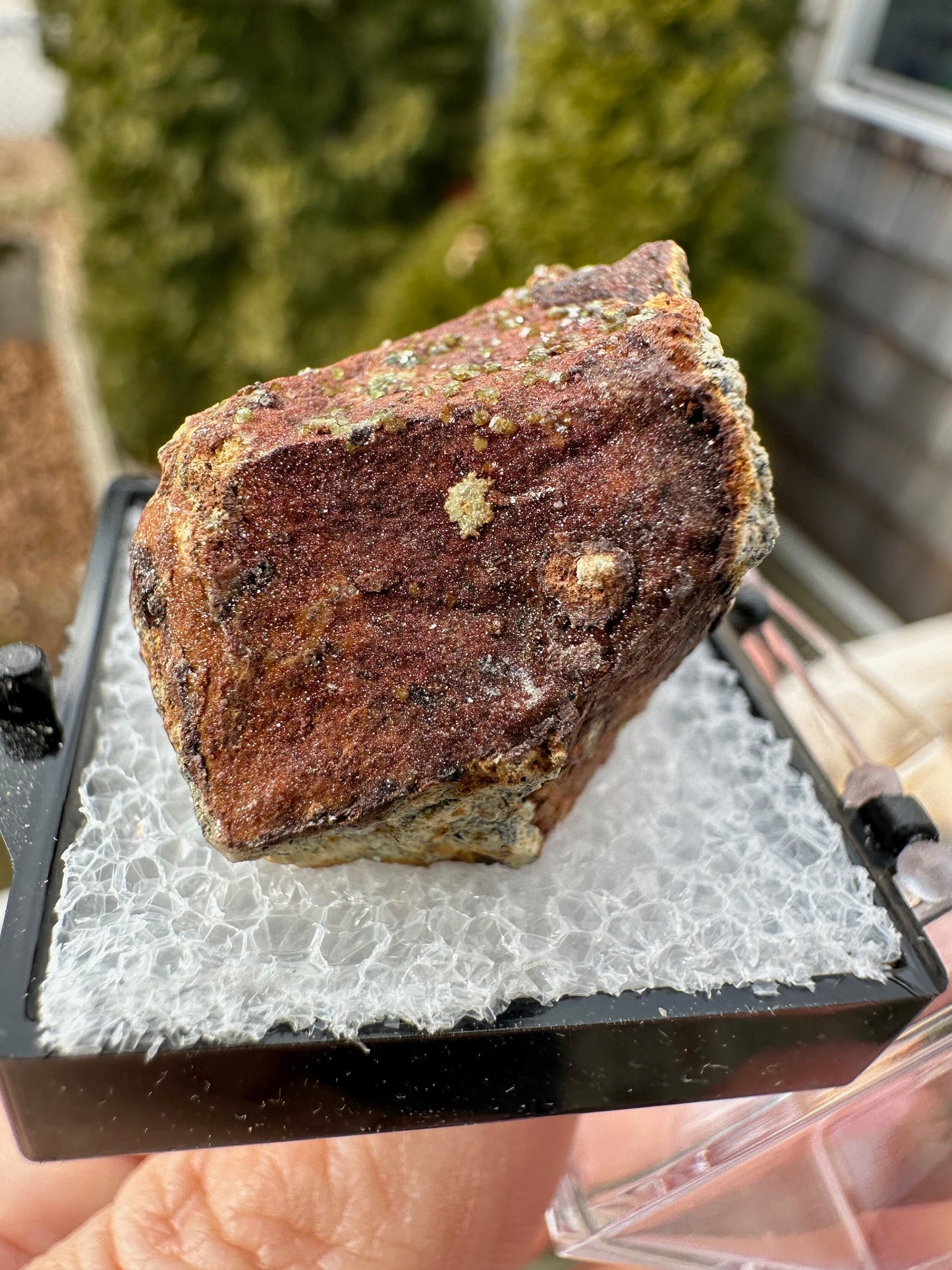 Pharmacosiderite Crystals on Matrix from Nevada USA