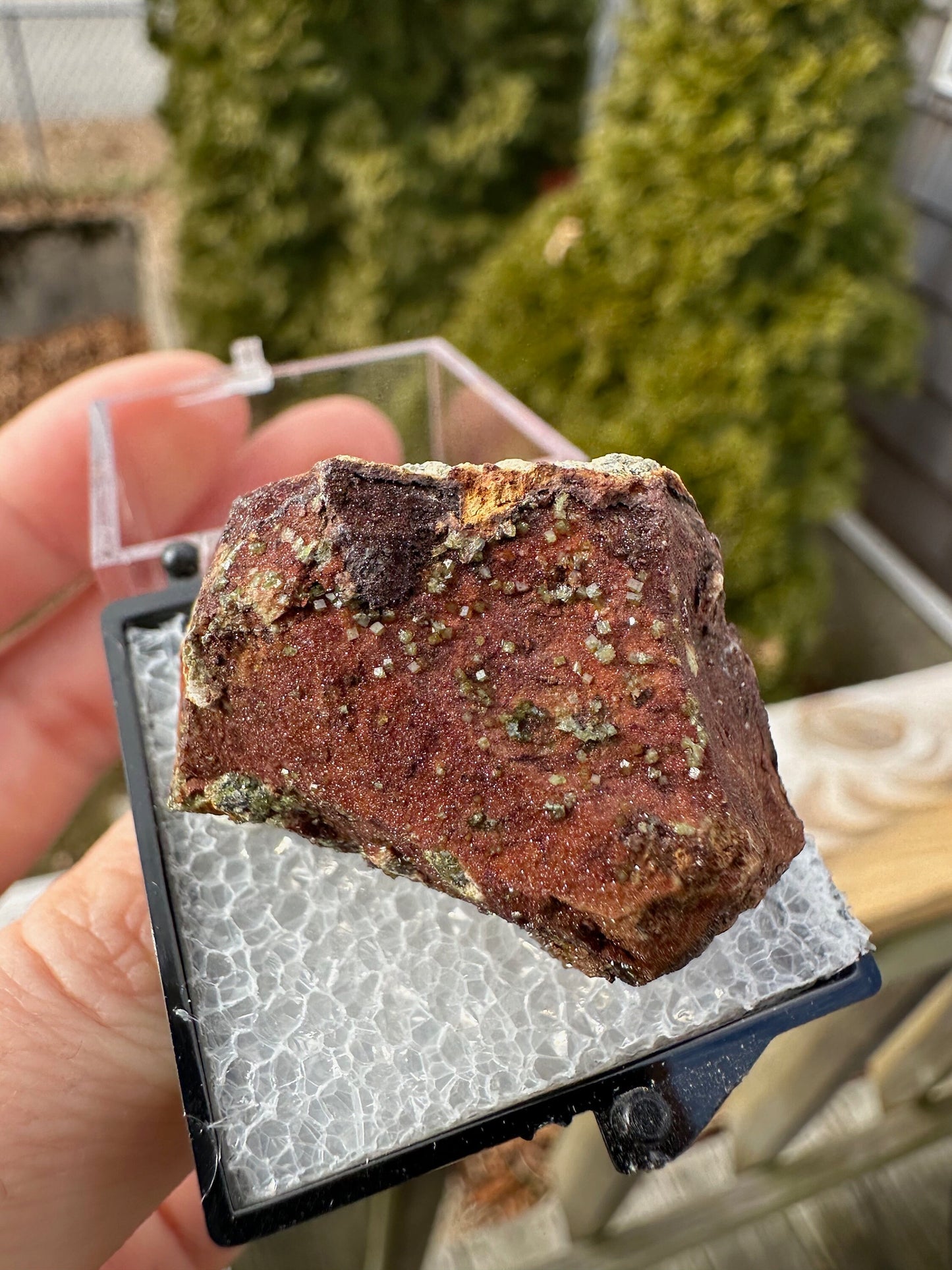 Pharmacosiderite Crystals on Matrix from Nevada USA