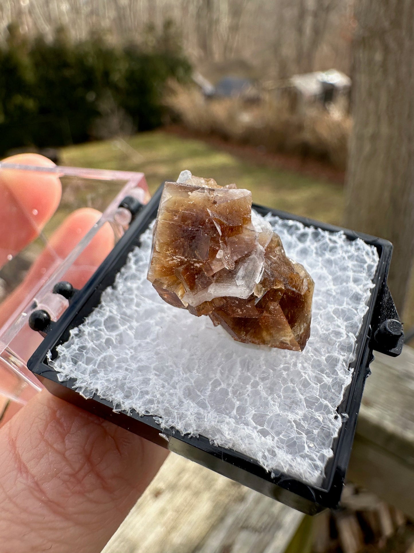 Phosphorescent Fluorite with Celestite from Ohio USA