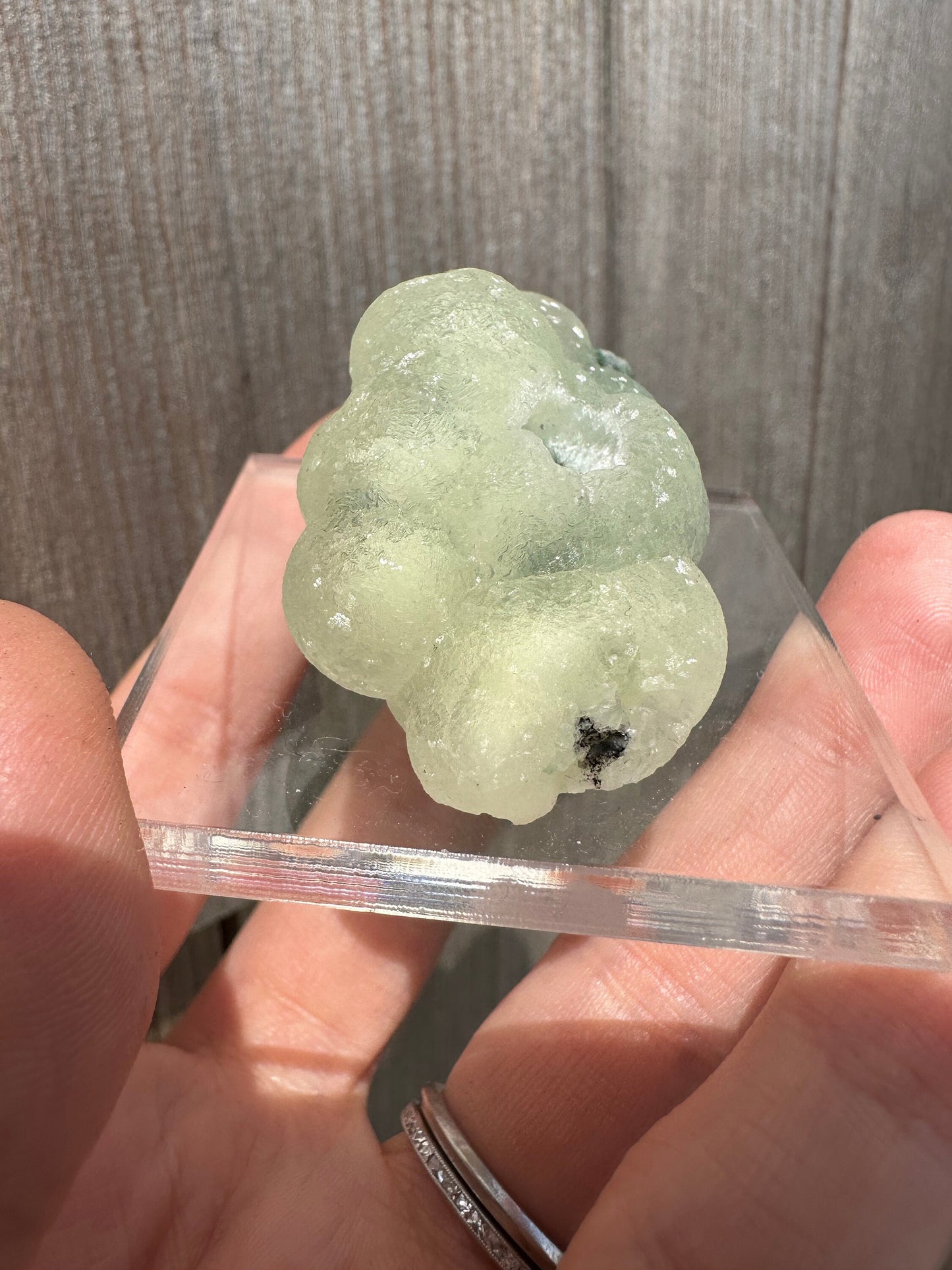 Prehnite from O&G Quarry Connecticut USA