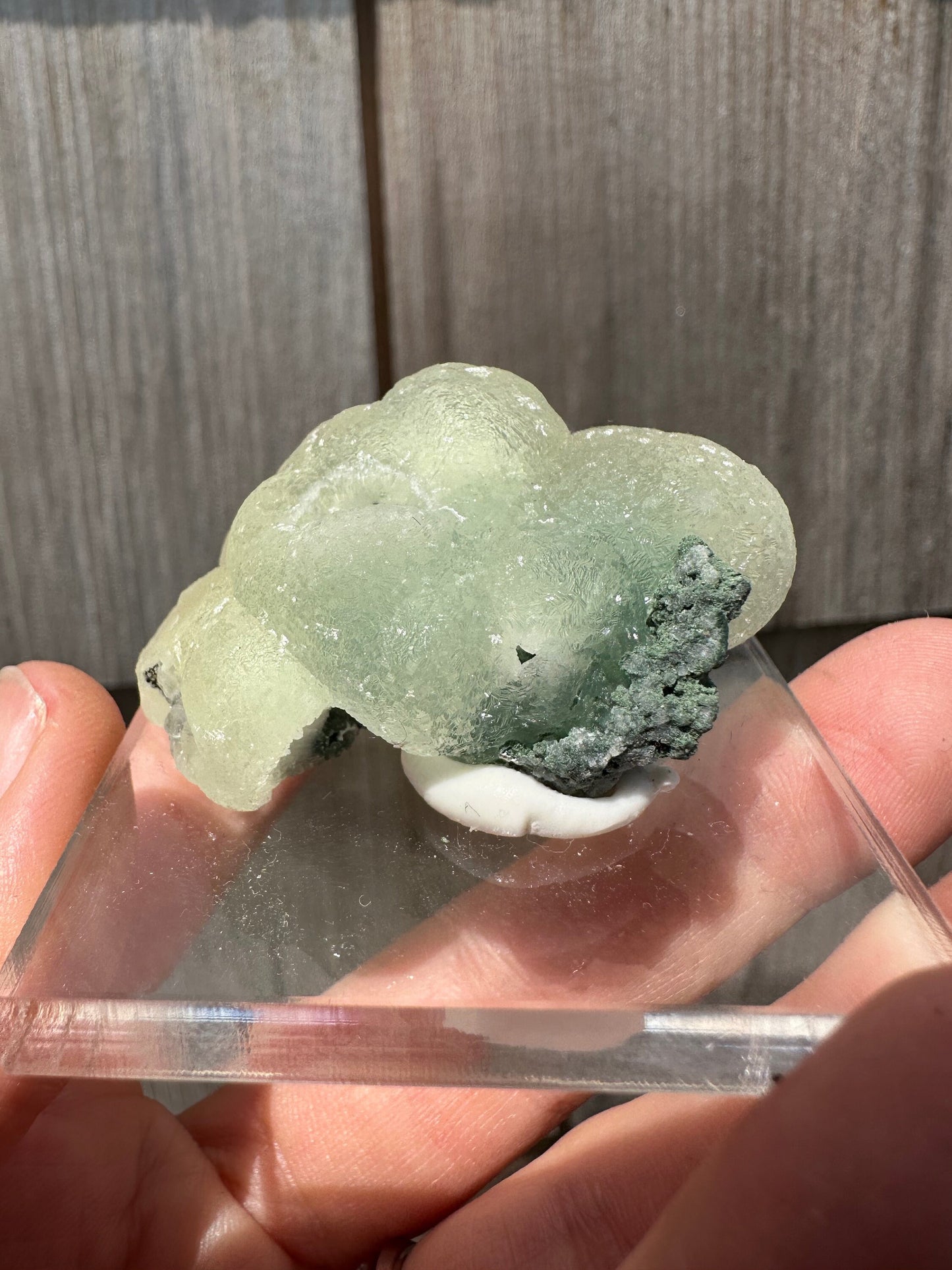 Prehnite from O&G Quarry Connecticut USA