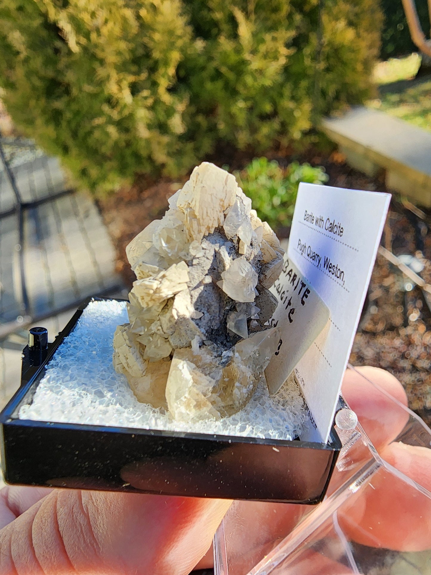 Old Collection Barite with Calcite from Pugh Quarry, Ohio