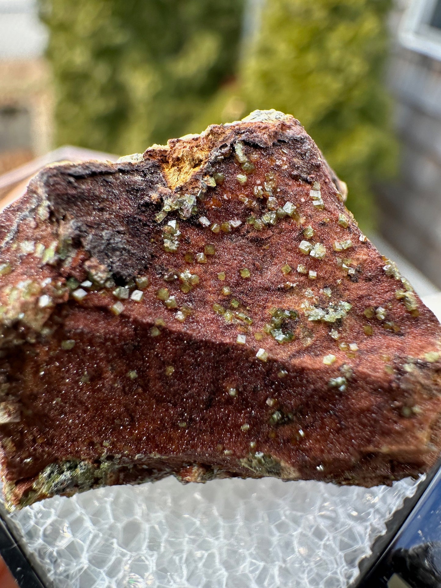 Pharmacosiderite Crystals on Matrix from Nevada USA