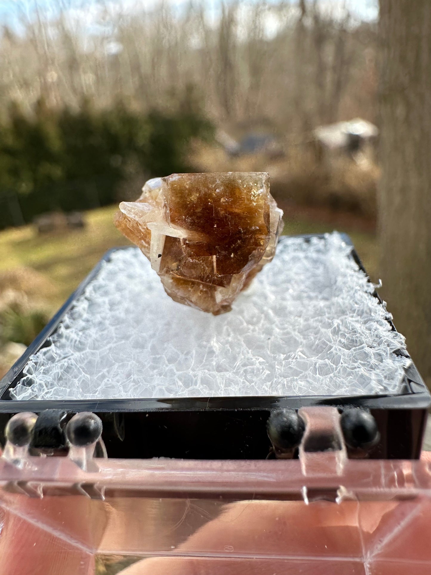 Phosphorescent Fluorite with Celestite from Ohio USA