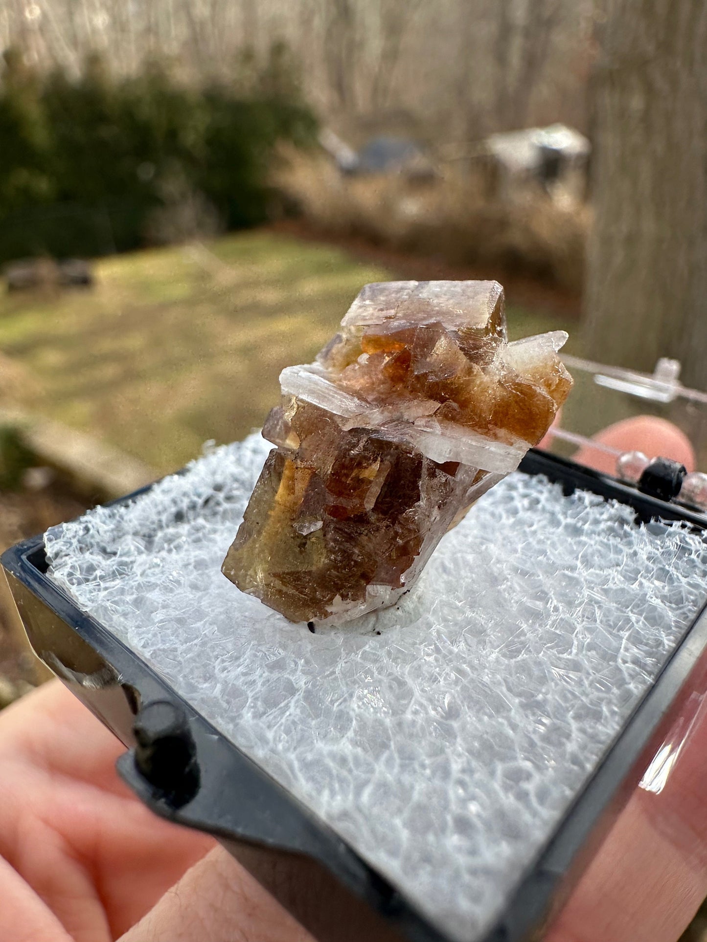 Phosphorescent Fluorite with Celestite from Ohio USA