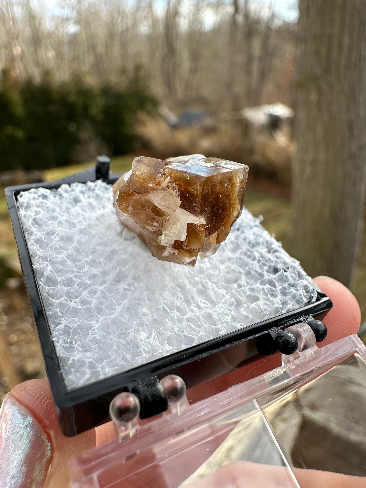 Phosphorescent Fluorite with Celestite from Ohio USA