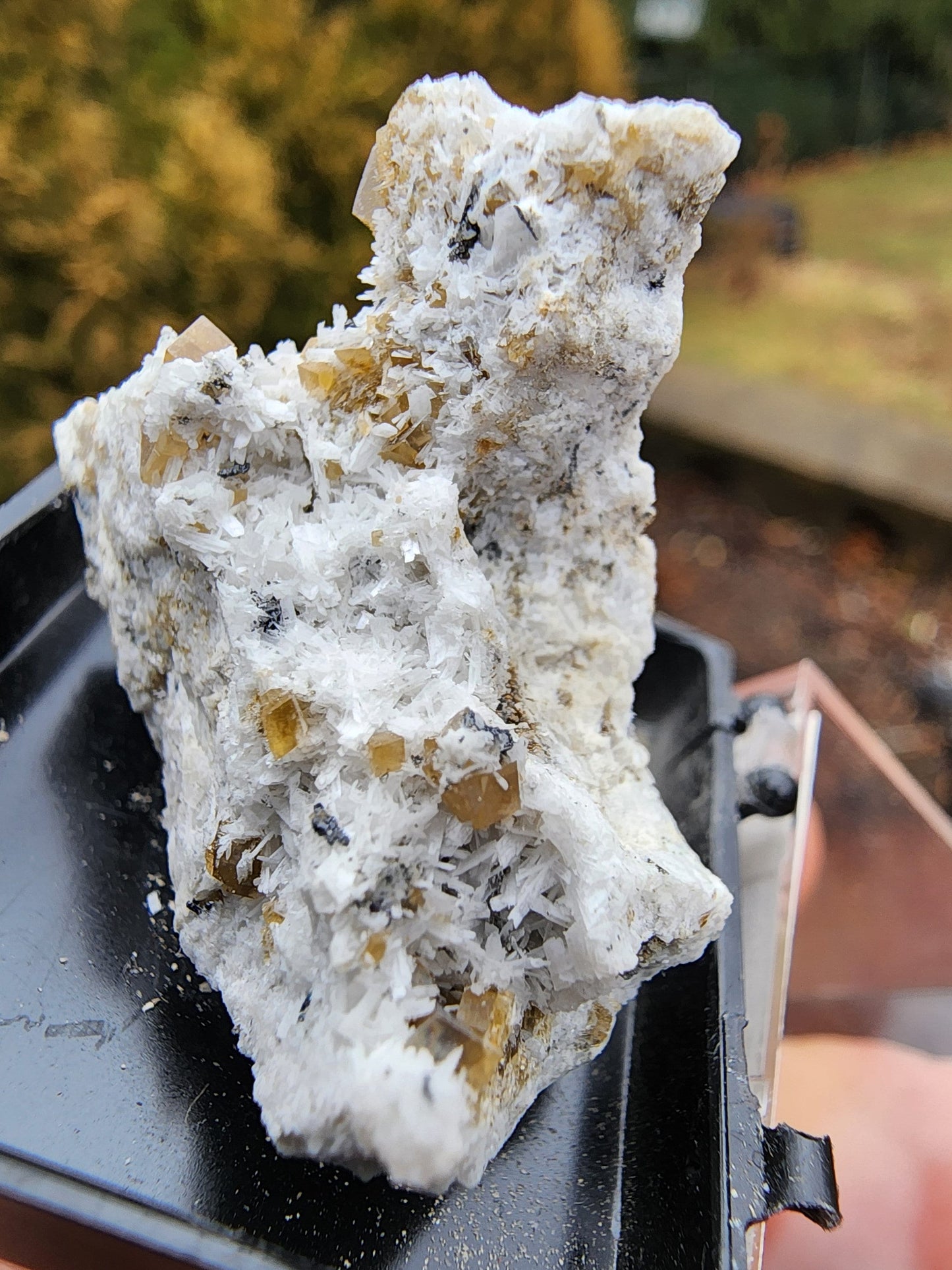 Siderite Crystals with Albite from Quebec