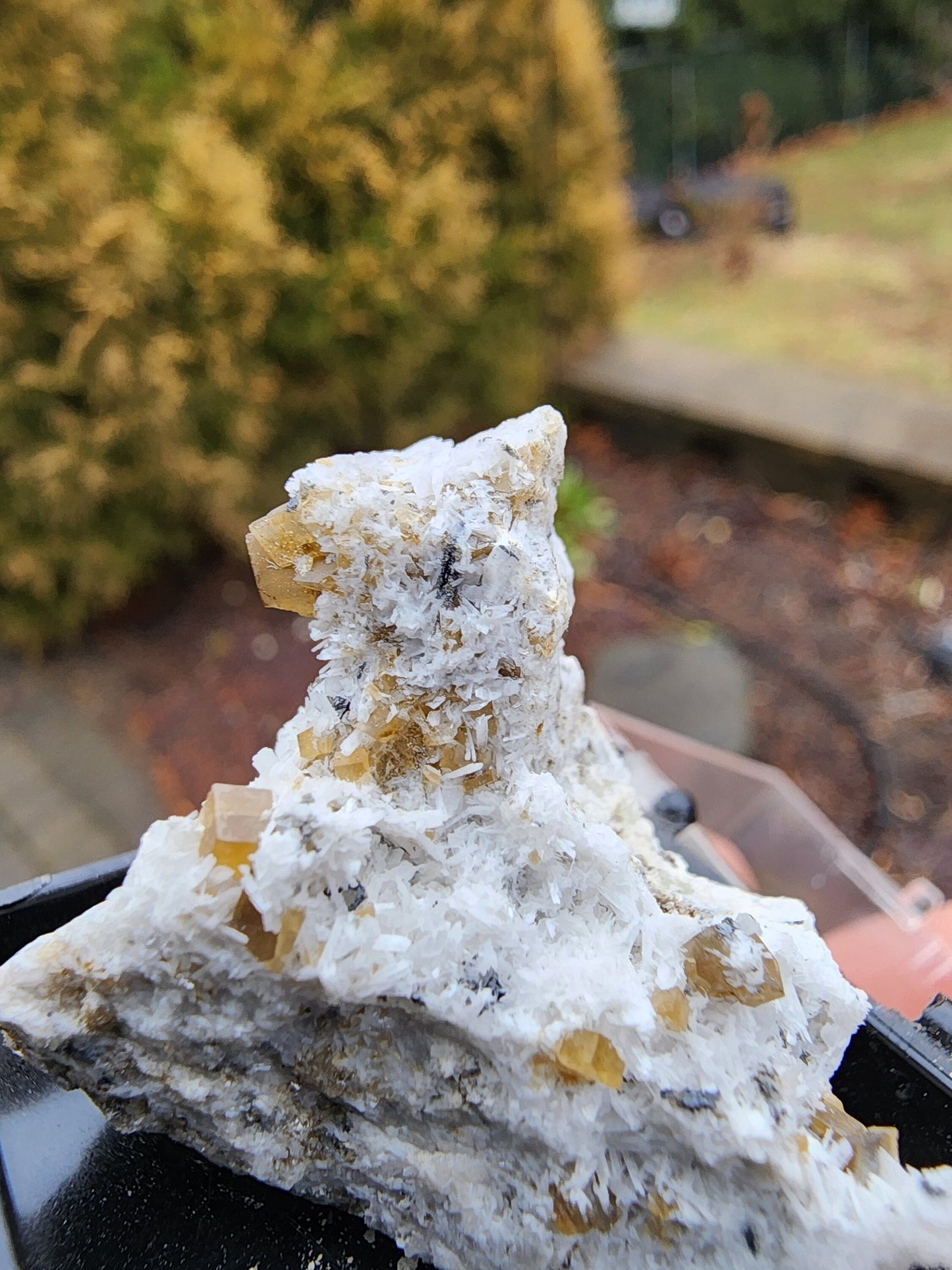 Siderite Crystals with Albite from Quebec