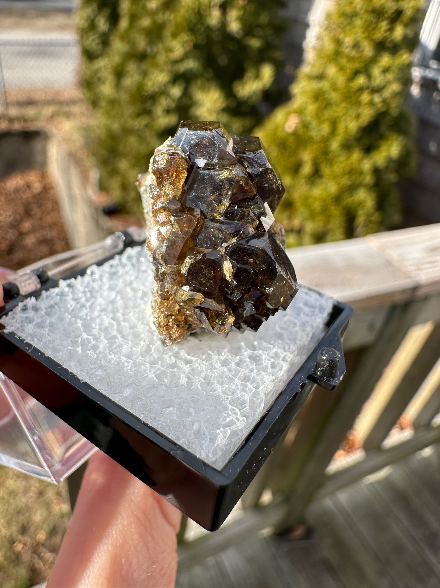 Grossular Garnet Crystals from Vesper Peak Washington USA
