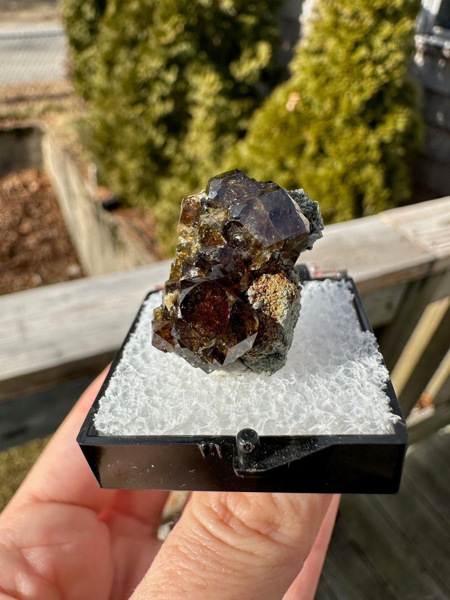 Grossular Garnet Crystals from Vesper Peak Washington USA