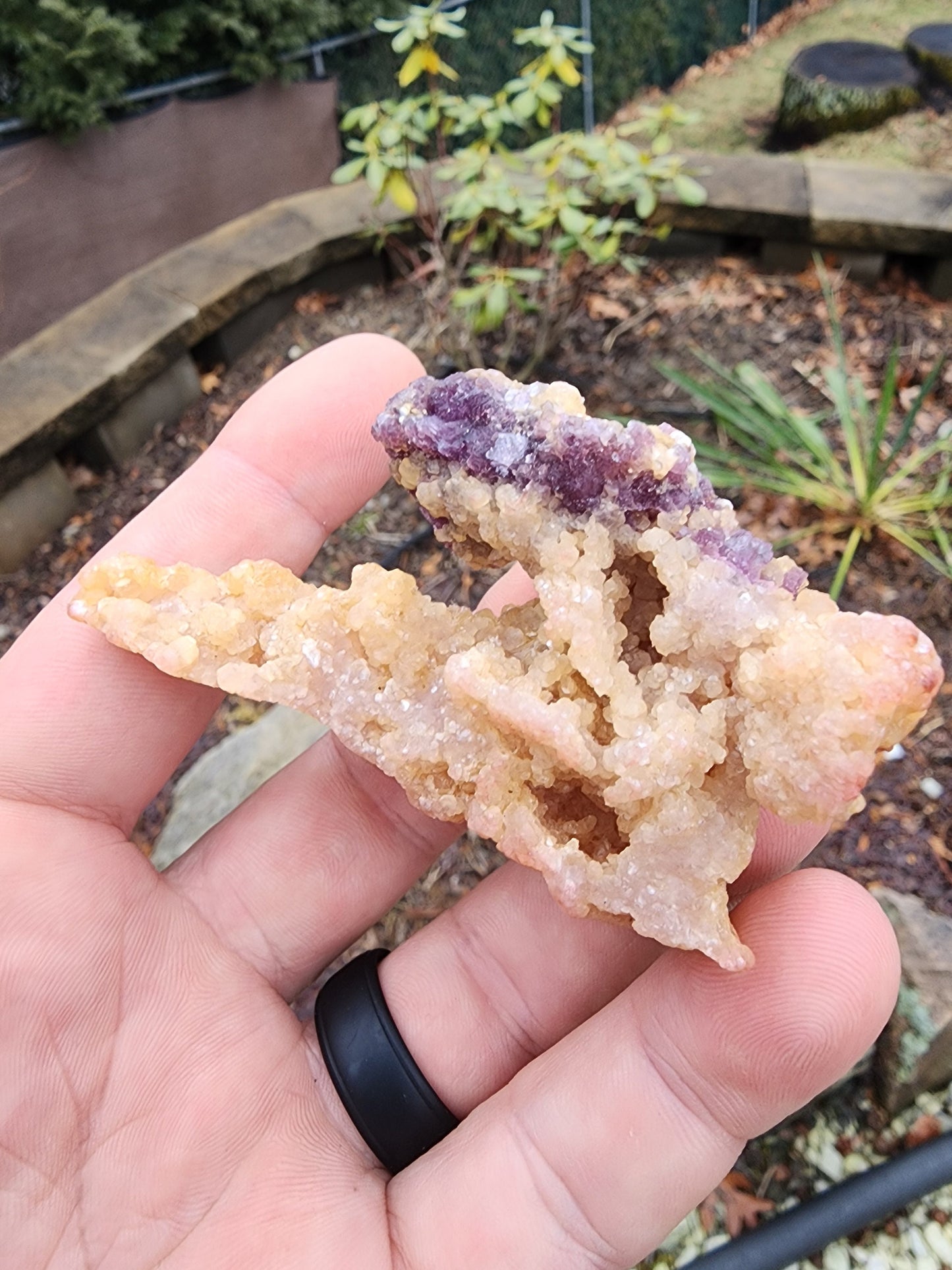 Lepidolite with Tourmaline on Cookeite from Minas Gerais, Brazil