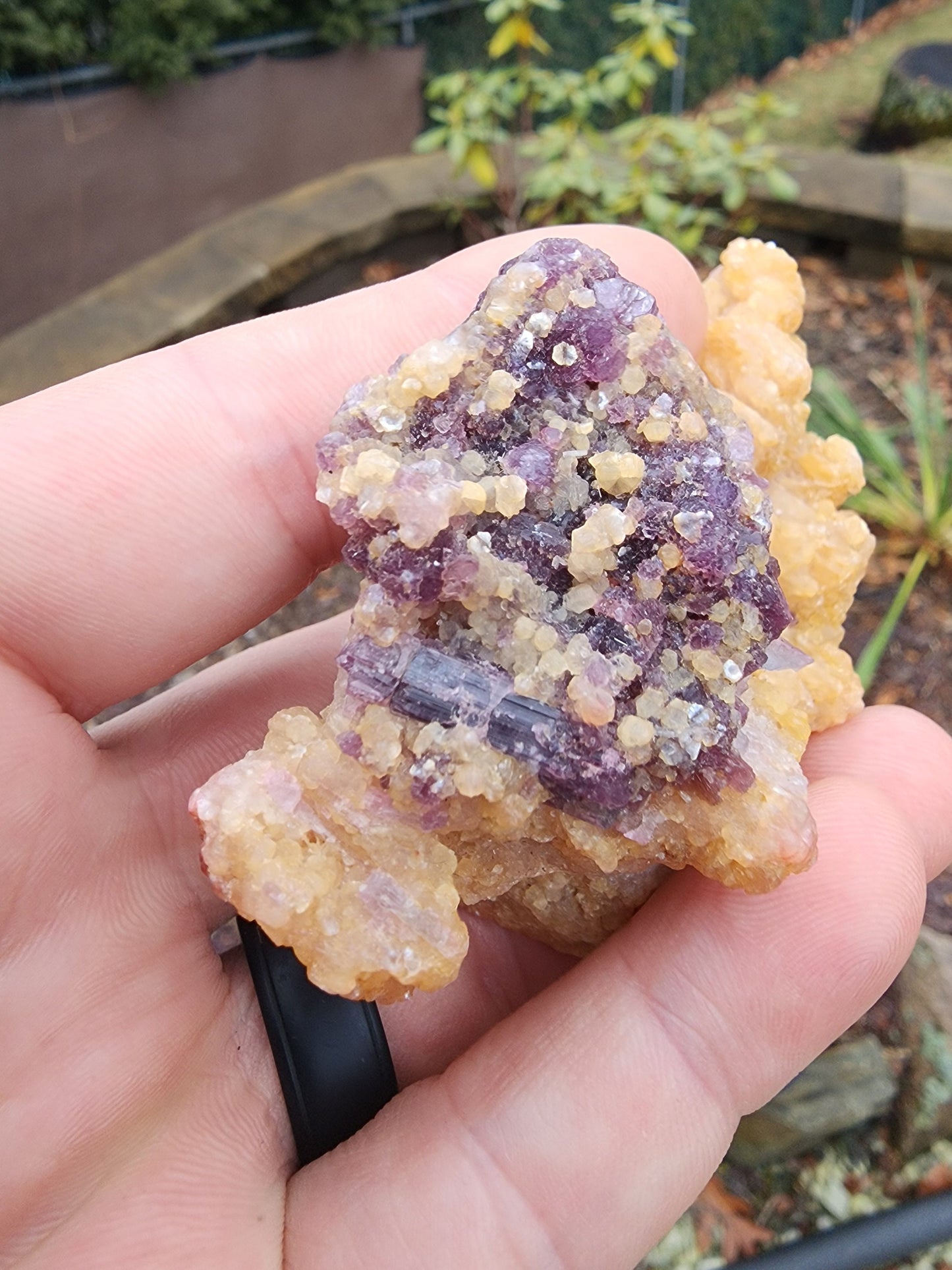 Lepidolite with Tourmaline on Cookeite from Minas Gerais, Brazil