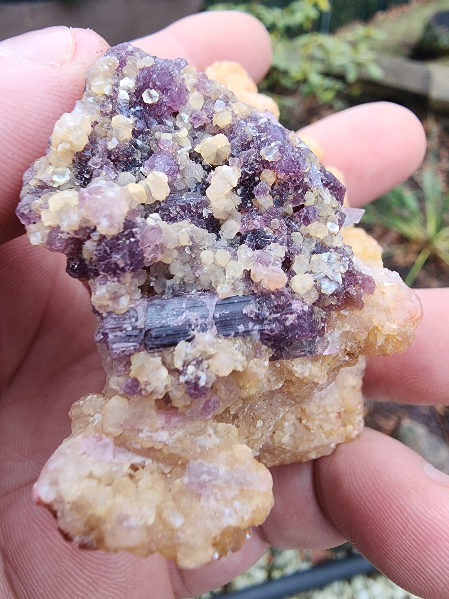Lepidolite with Tourmaline on Cookeite from Minas Gerais, Brazil