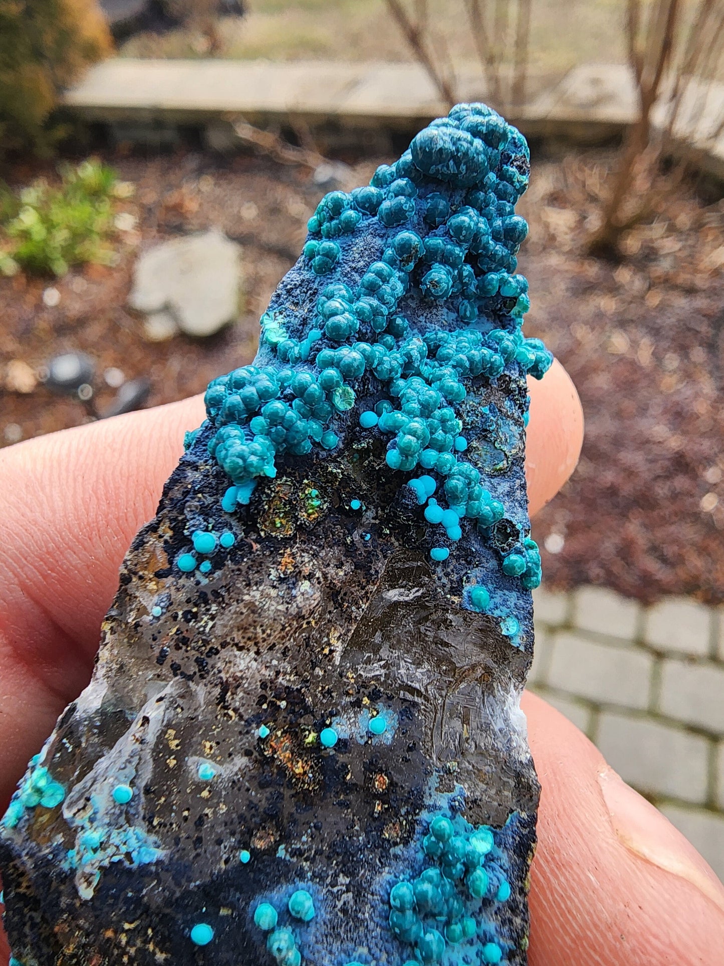 Chrysocolla on Quartz from Tentadora Mine, Peru