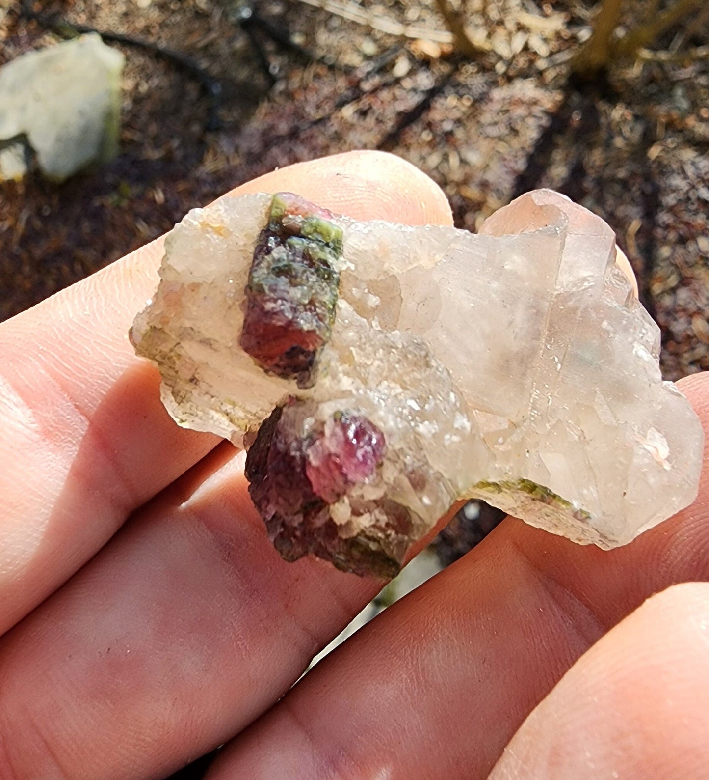 Watermelon Tourmaline in a Quartz Cluster from Minas Gerais, Brazil