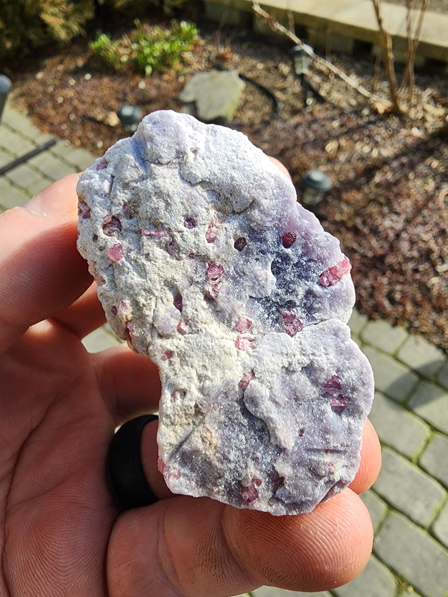 Pink Tourmaline in Lepidolite from California USA