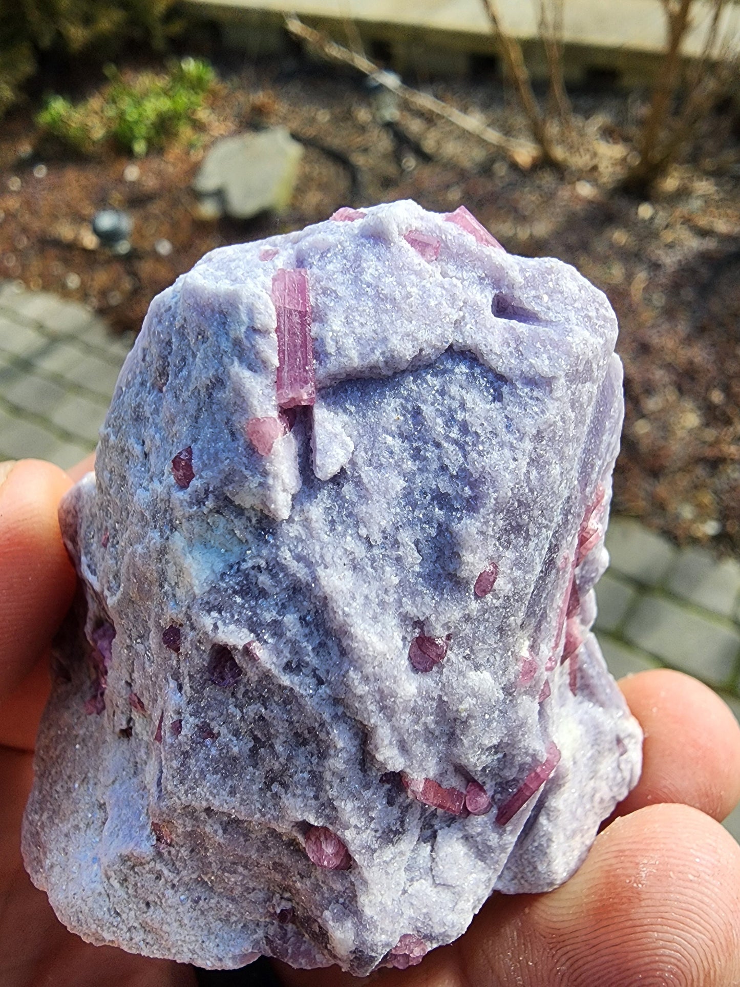 Pink Tourmaline in Lepidolite from California USA