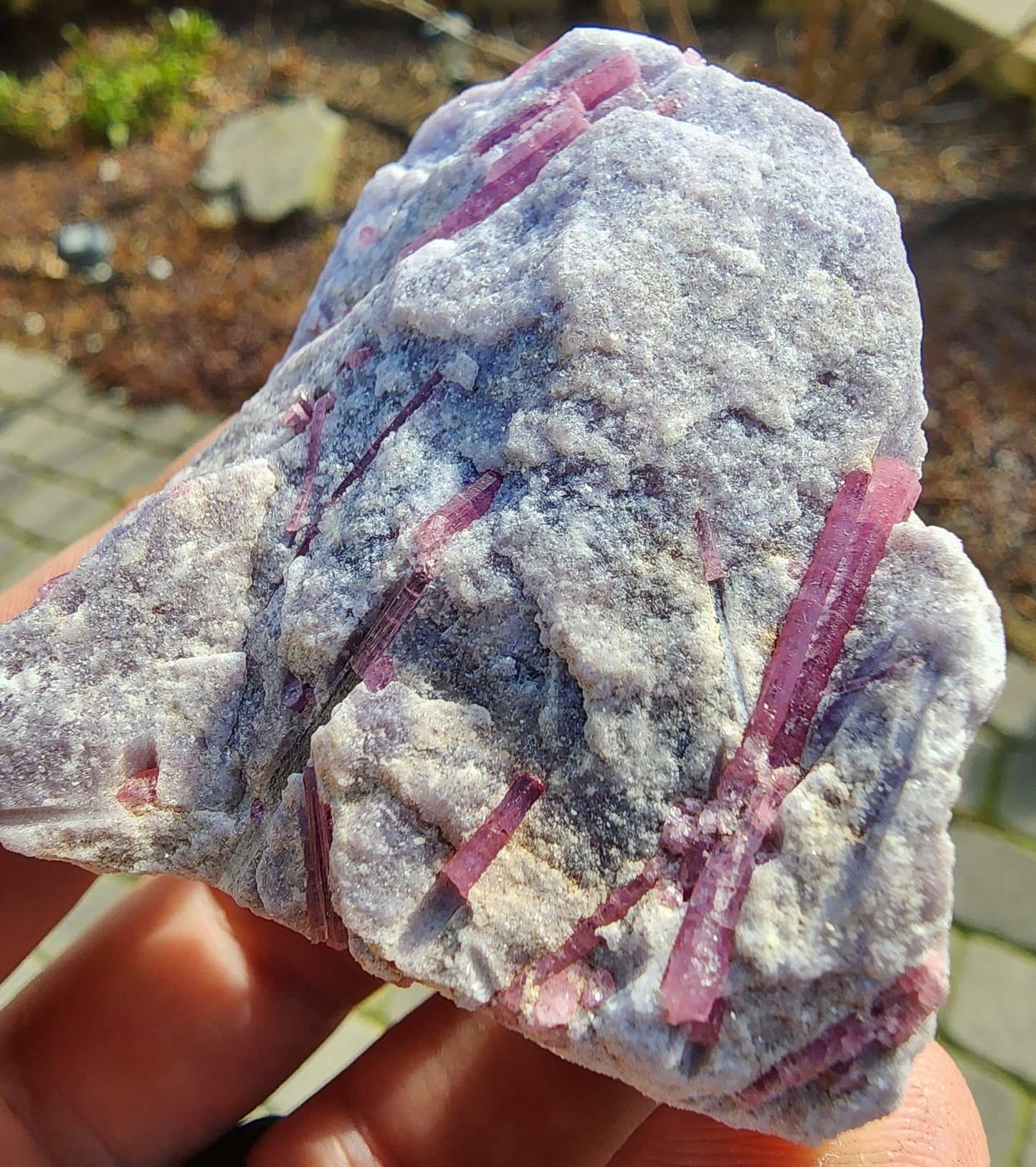 Pink Tourmaline in Lepidolite from California USA