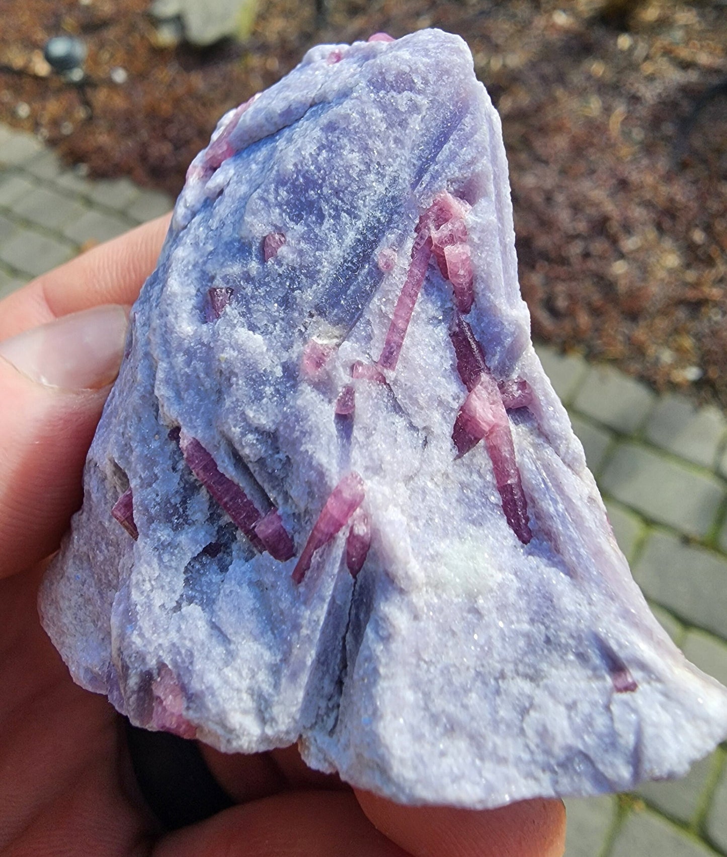 Pink Tourmaline in Lepidolite from California USA