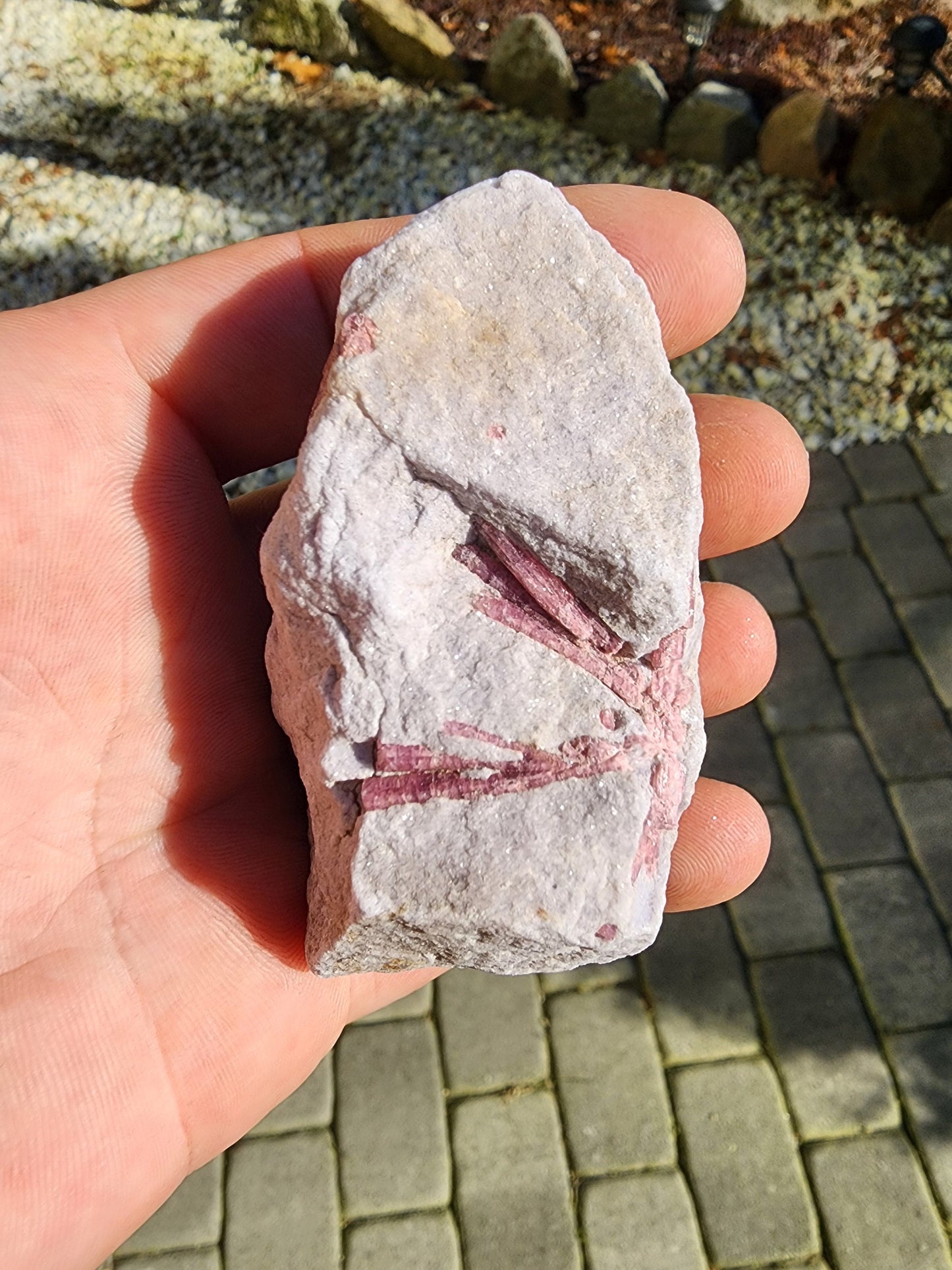 Pink Tourmaline in Lepidolite from California USA