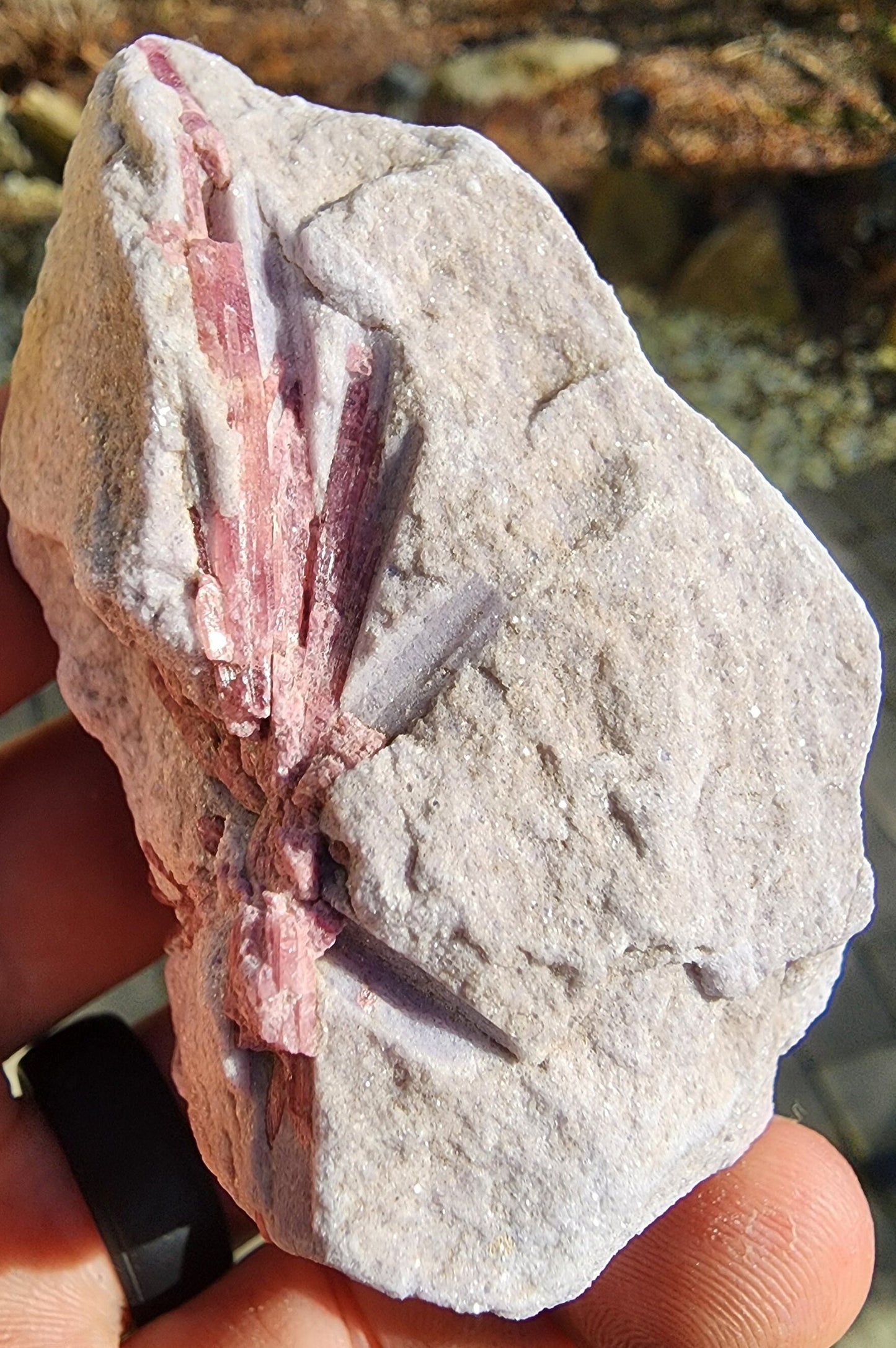 Pink Tourmaline in Lepidolite from California USA
