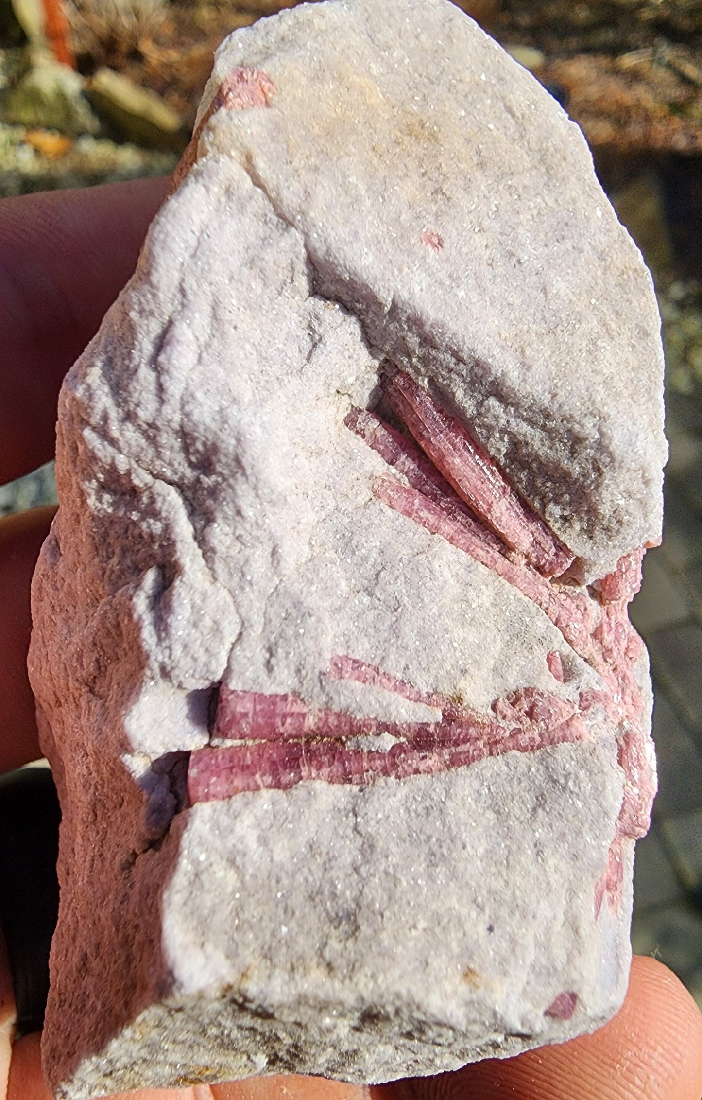 Pink Tourmaline in Lepidolite from California USA