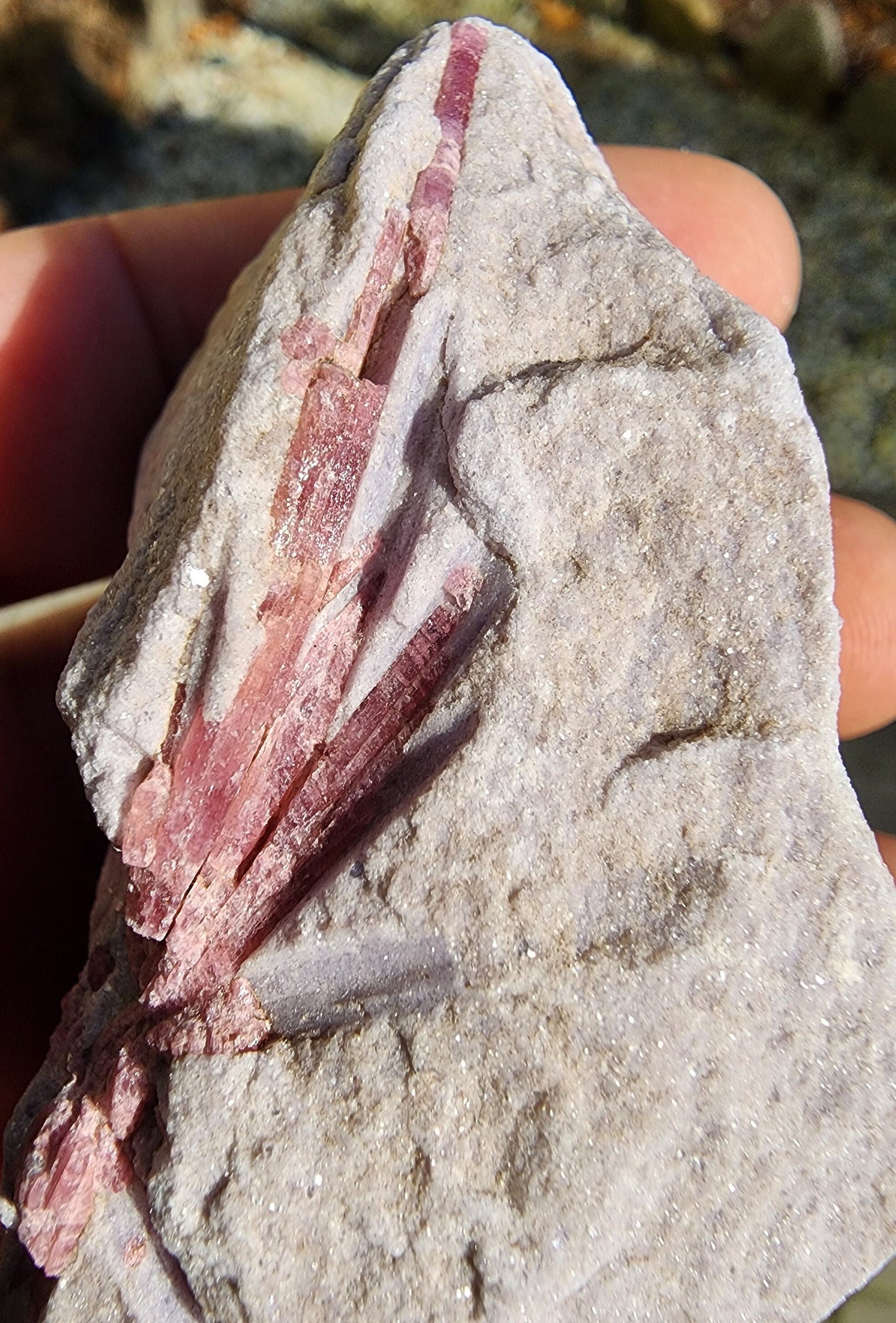 Pink Tourmaline in Lepidolite from California USA