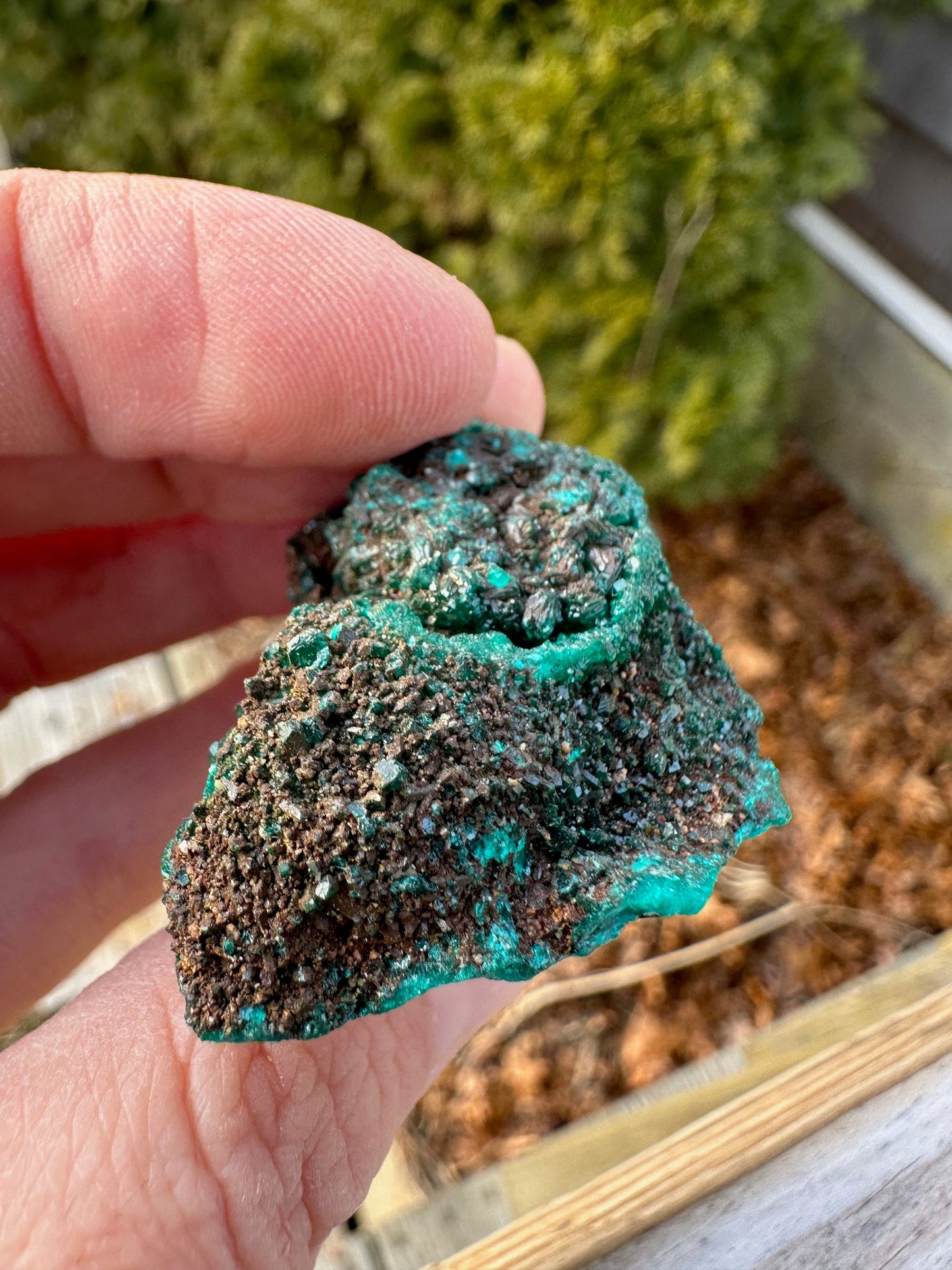 Dioptase with Mimetite from Congo