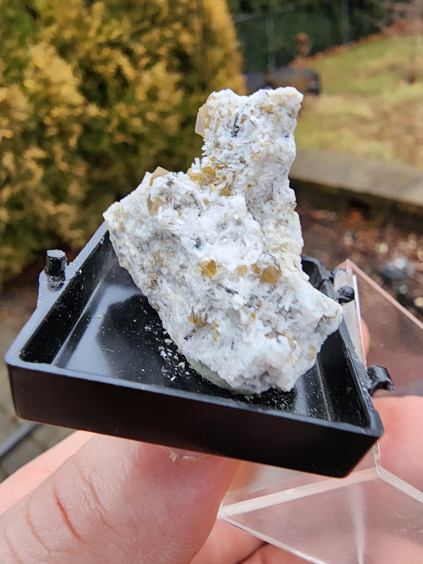 Siderite Crystals with Albite from Quebec