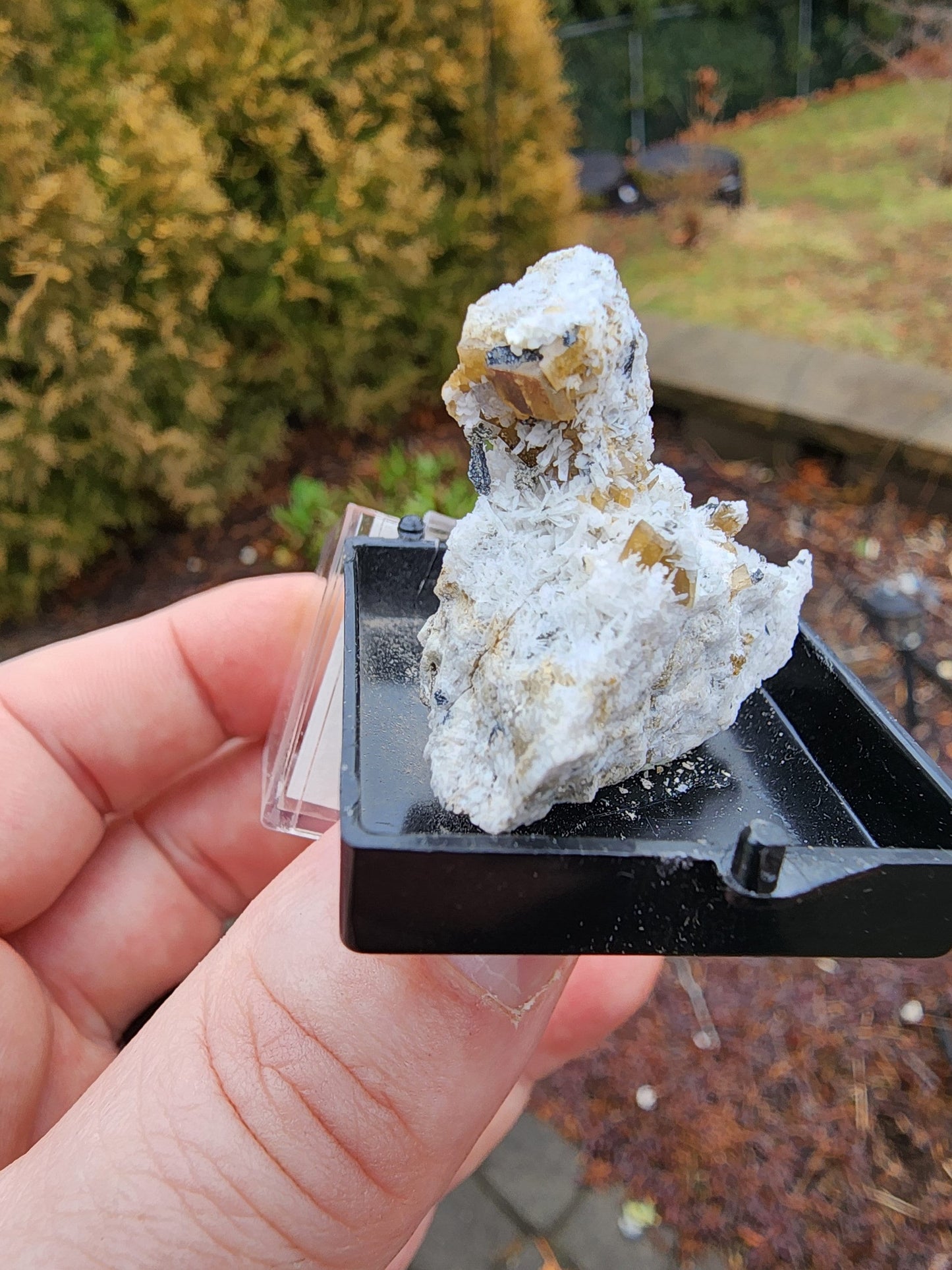 Siderite Crystals with Albite from Quebec