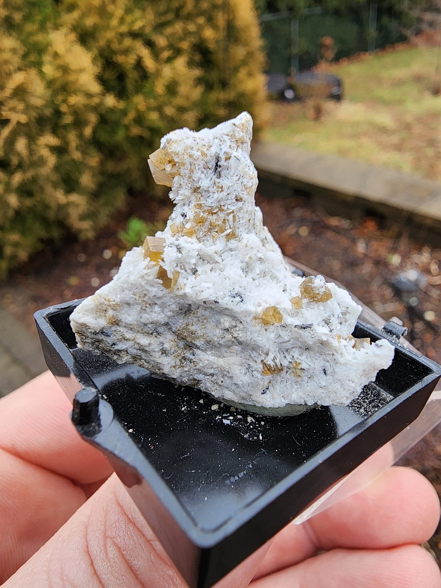 Siderite Crystals with Albite from Quebec