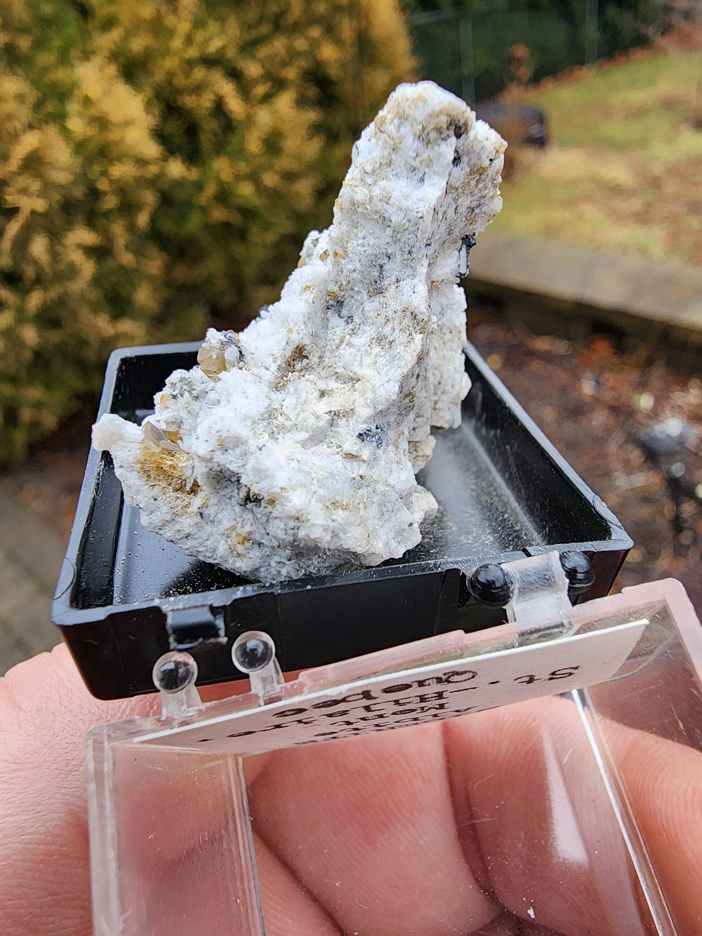 Siderite Crystals with Albite from Quebec