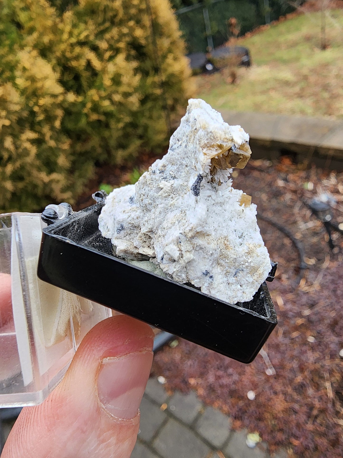 Siderite Crystals with Albite from Quebec