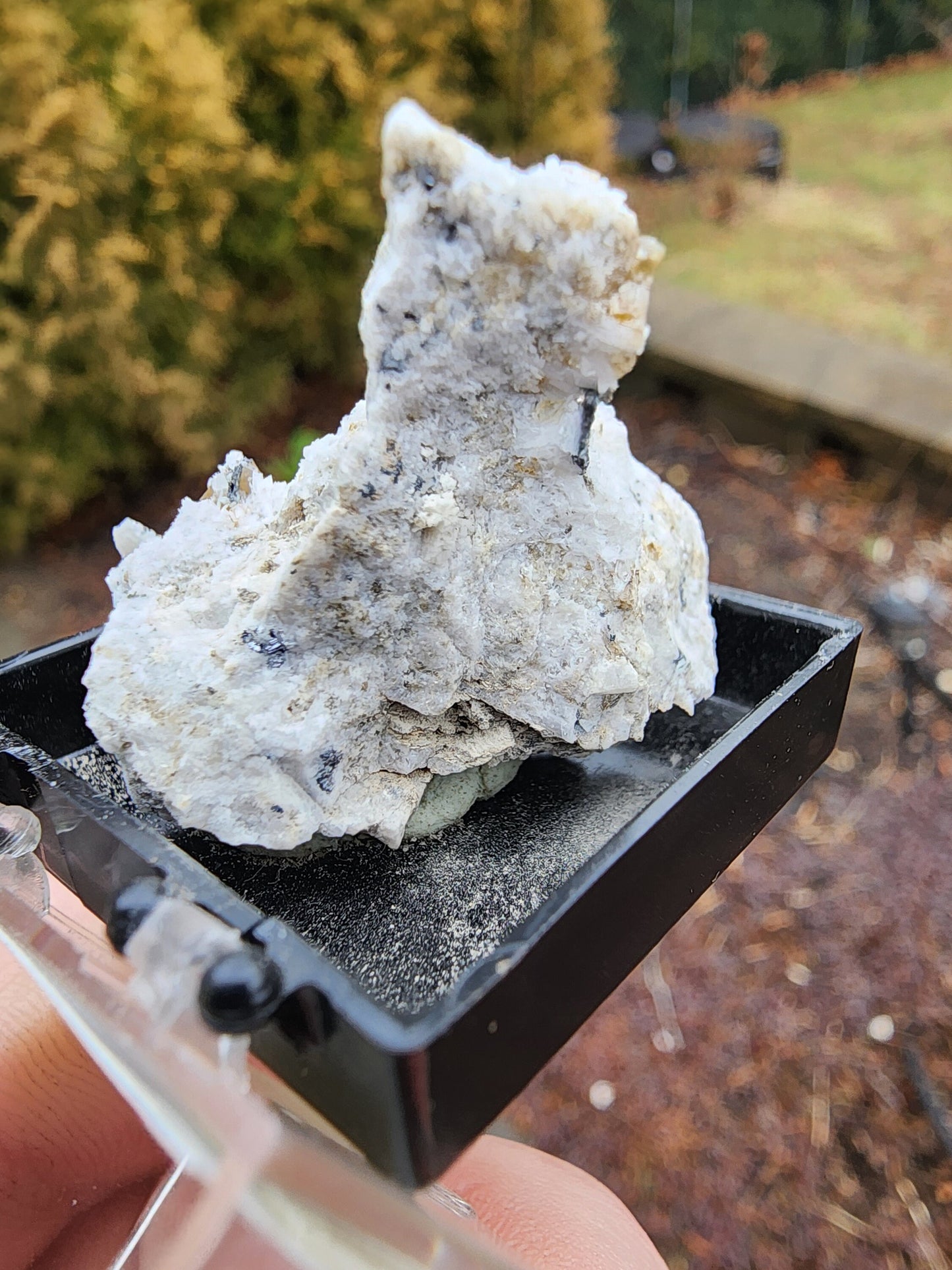Siderite Crystals with Albite from Quebec
