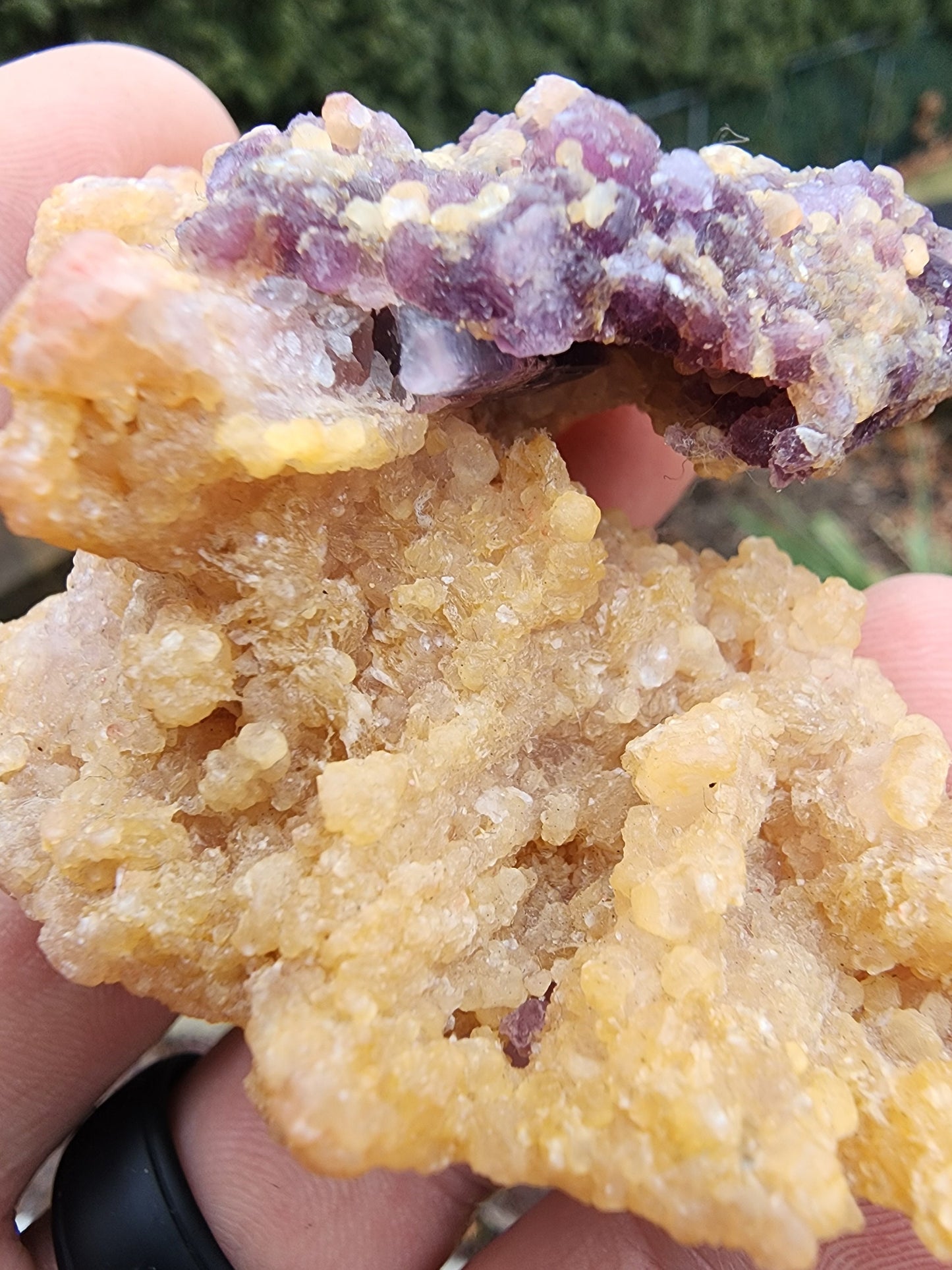 Lepidolite with Tourmaline on Cookeite from Minas Gerais, Brazil