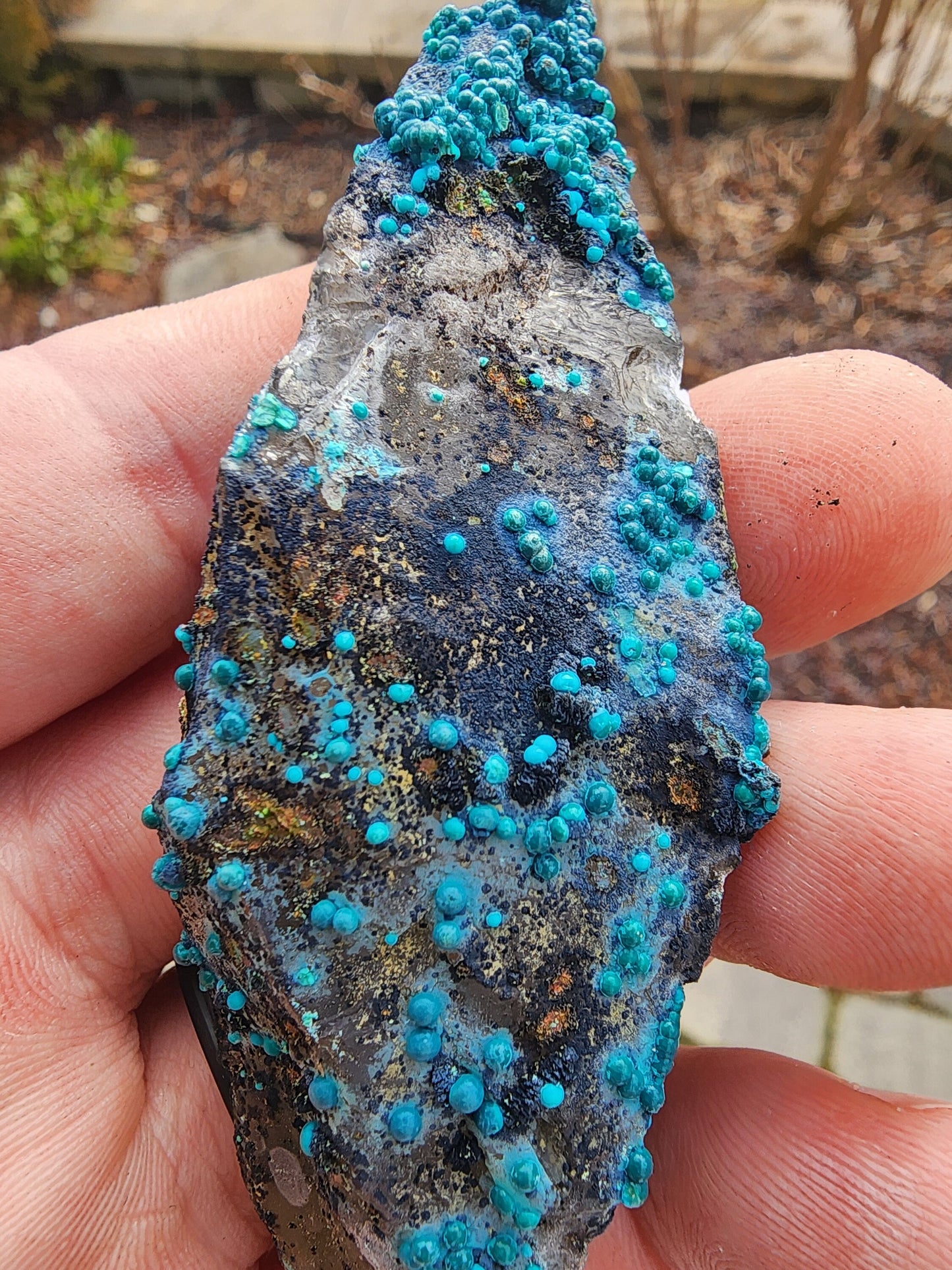 Chrysocolla on Quartz from Tentadora Mine, Peru