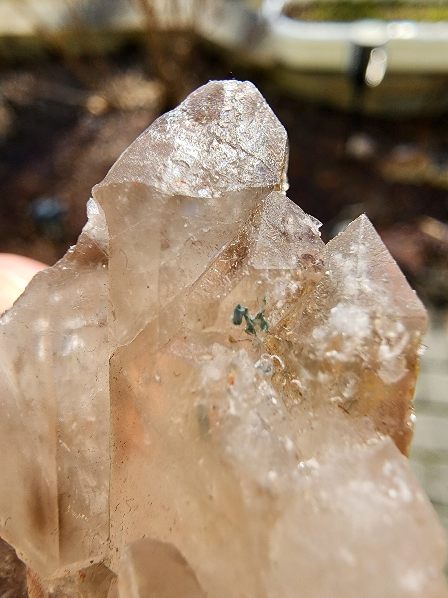 Watermelon Tourmaline in a Quartz Cluster from Minas Gerais, Brazil