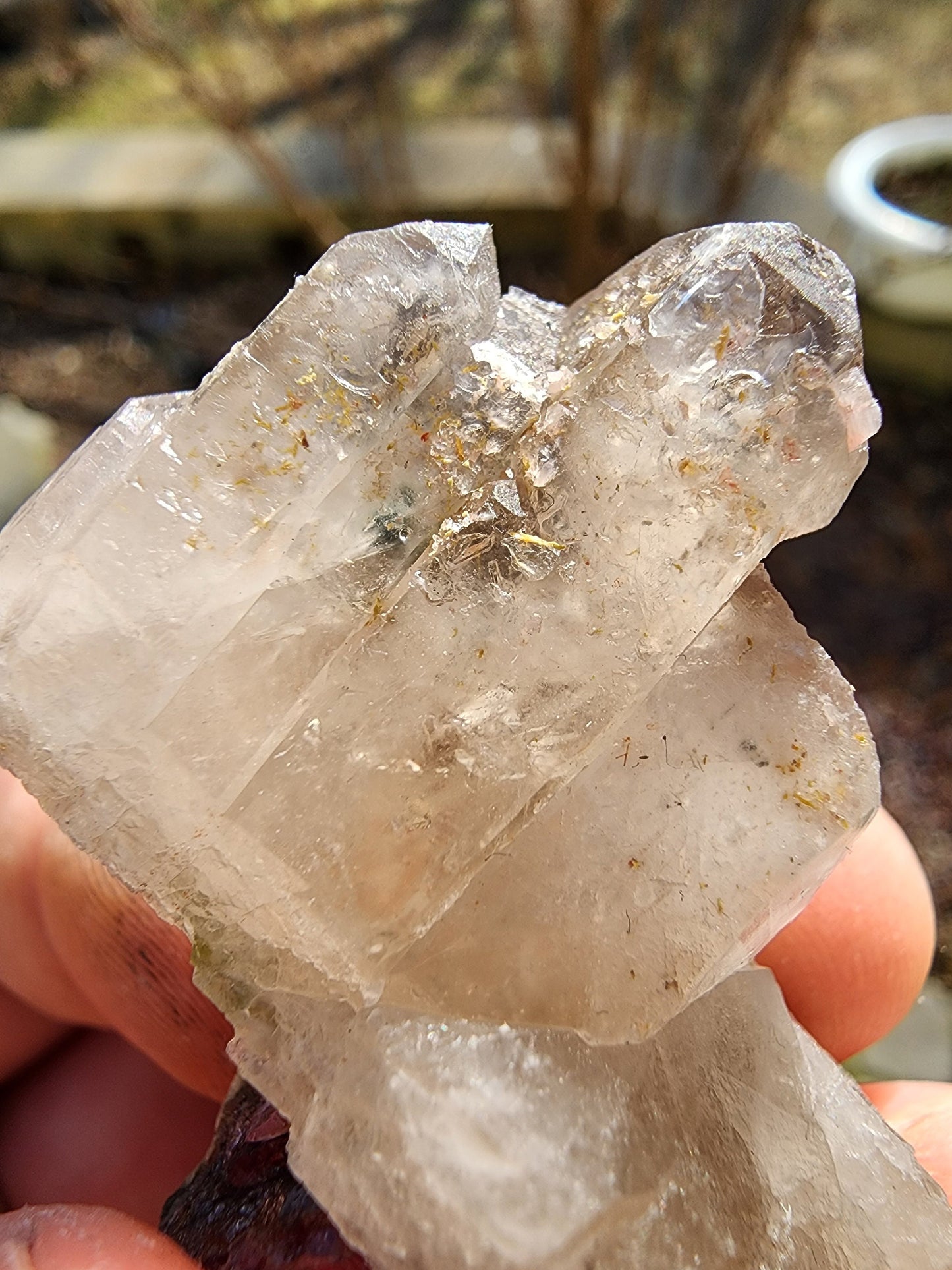 Watermelon Tourmaline in a Quartz Cluster from Minas Gerais, Brazil